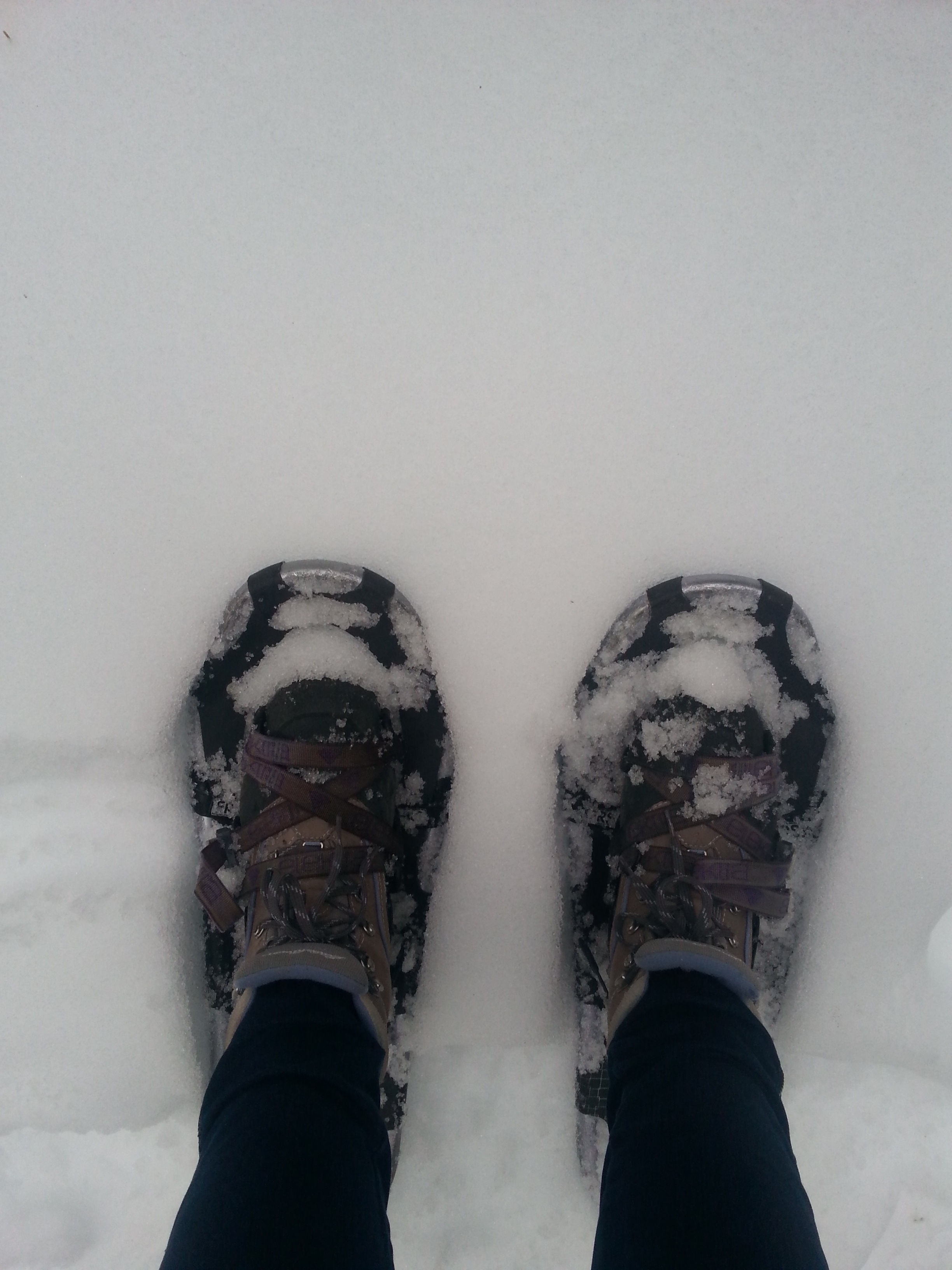 20150109_154459.jpg
