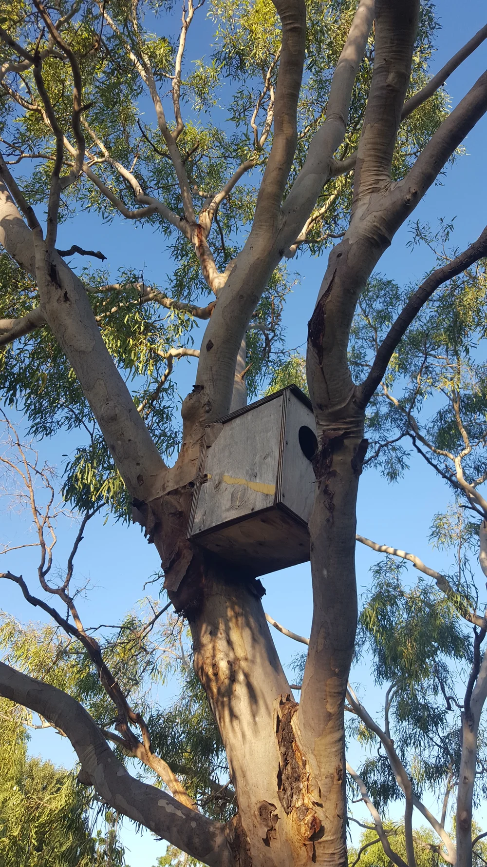 2018-04-19 16.56.28.jpg