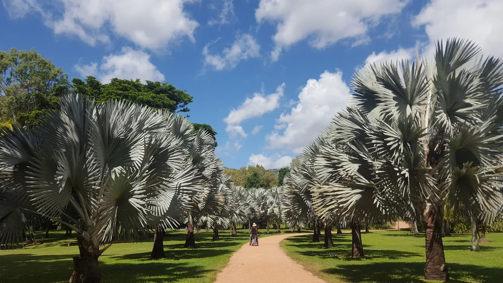 2018-04-22 12.24.54.jpg