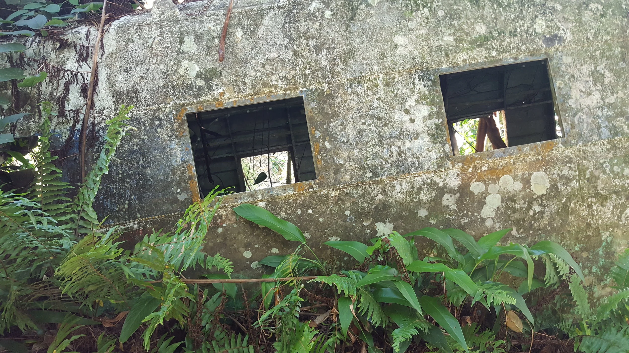 20180424_144356.jpg