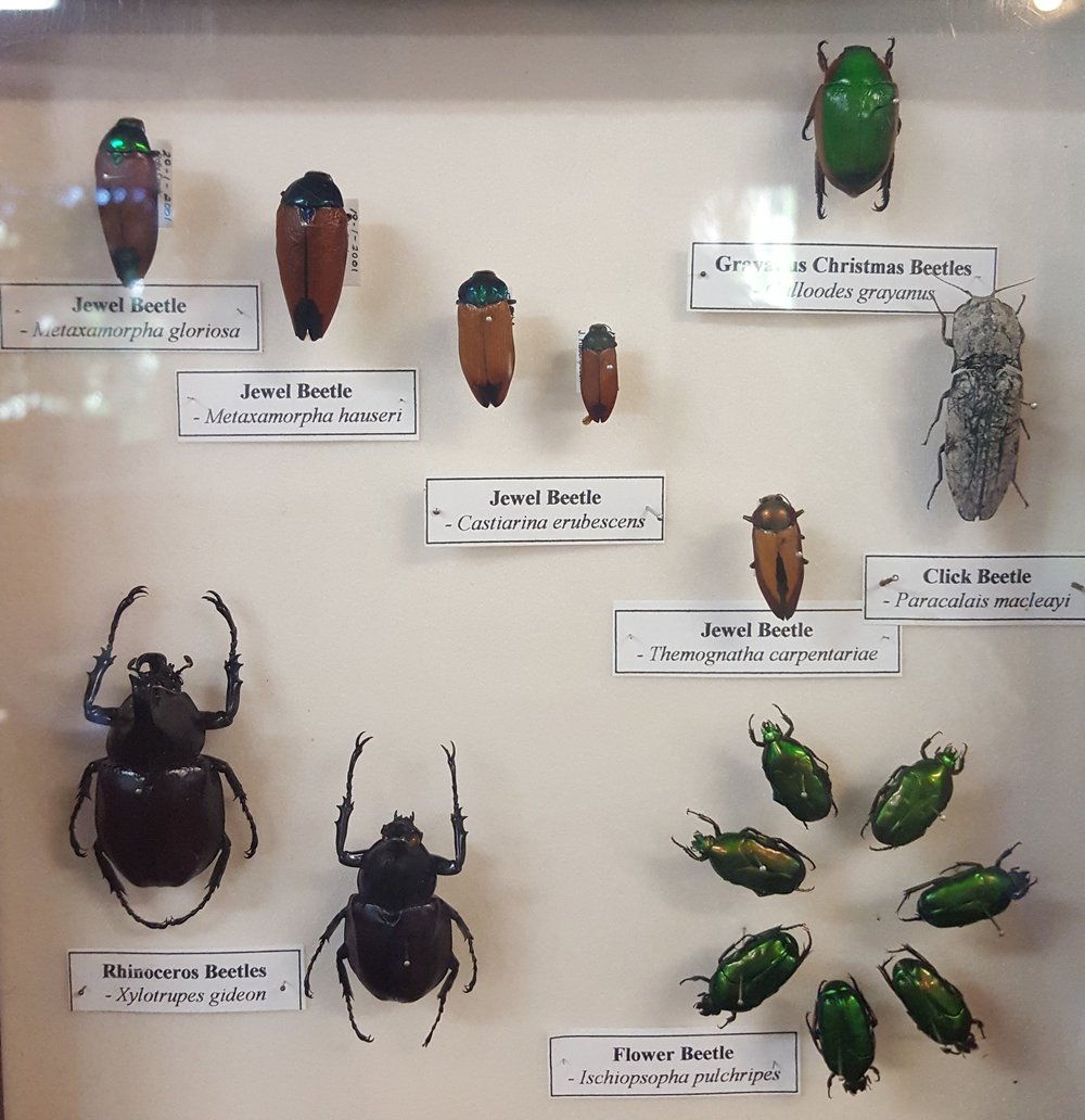 20180426_091226 (2).jpg