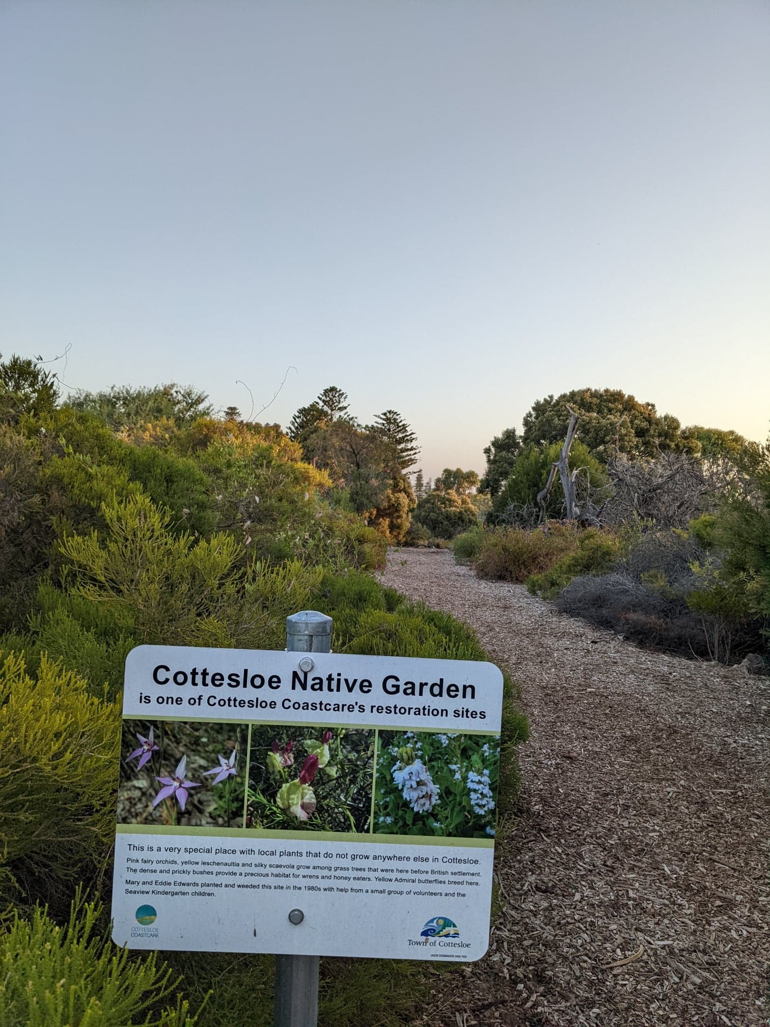 Cott native garden.jpg