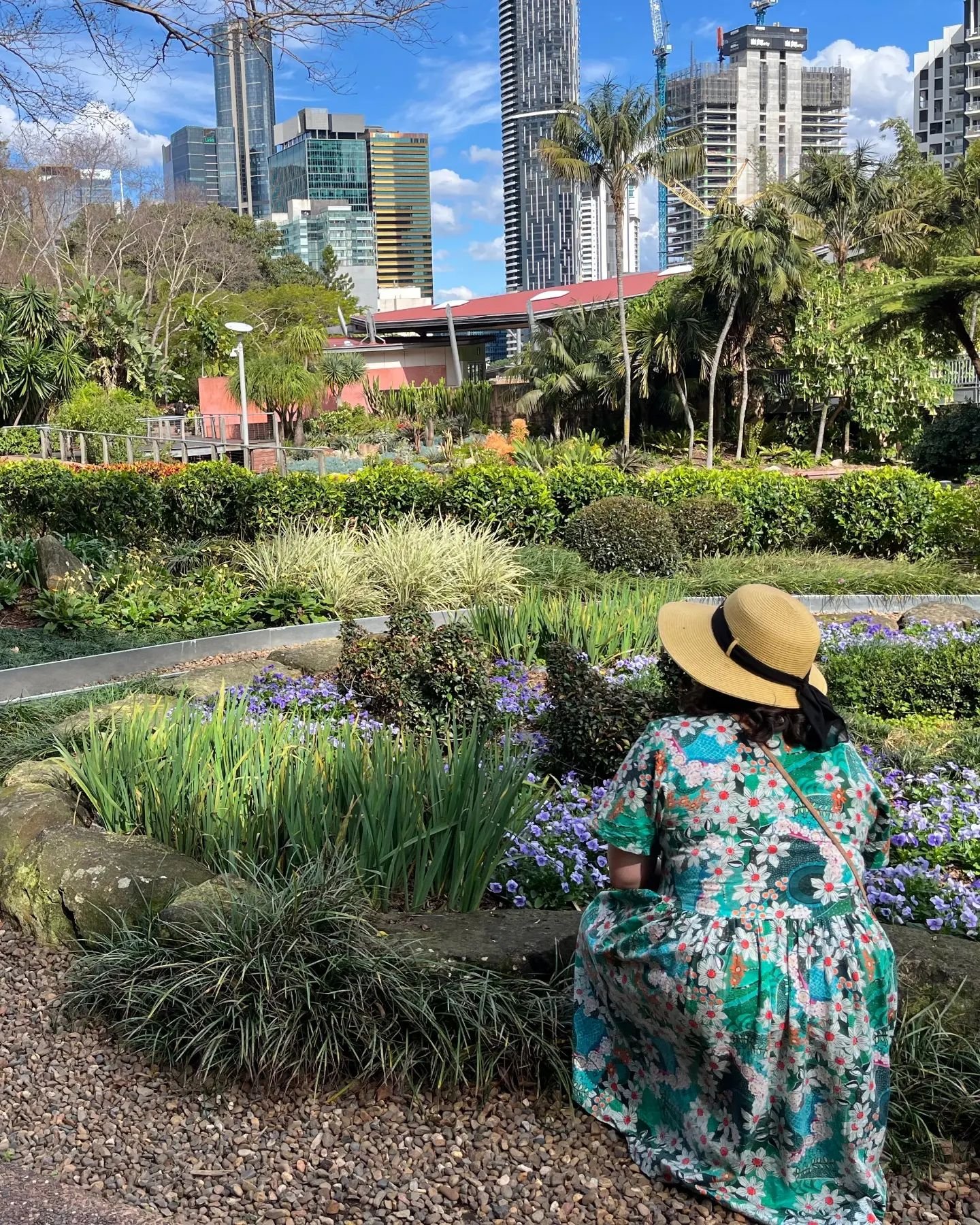 My cup is absolutely full at the moment from a week filled with wonderful flowers, landscapes and people 🥰🌸🌱🌞 

Here's a few of my favourite plants and characters spotted in the gardens of Roma Parkland on Turrbal country - I especially loved the