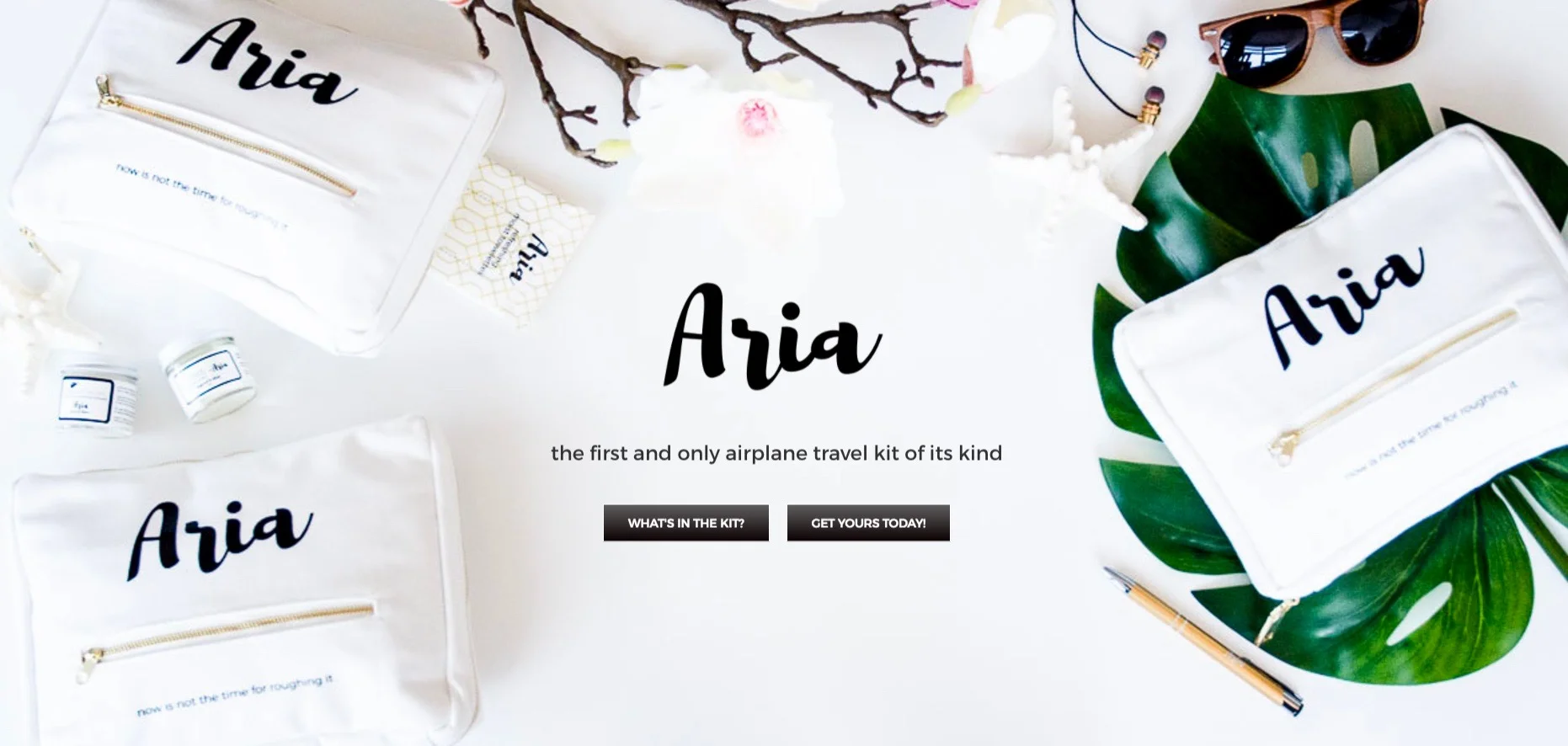 Image of Aria's homepage - with a clear message and a call to action