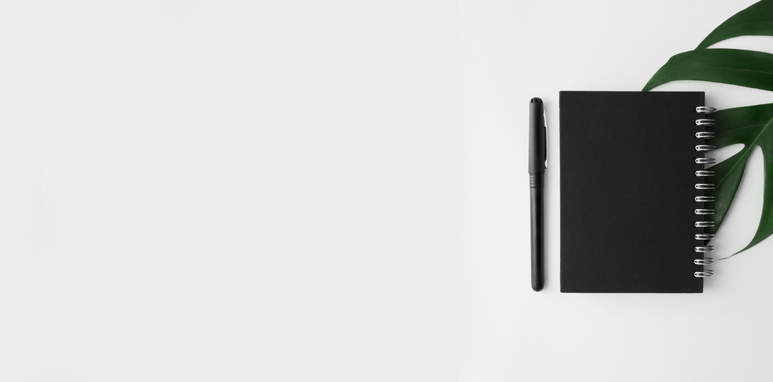 banner 5.png