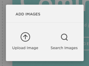 Cover+Image+-+Media+2.png