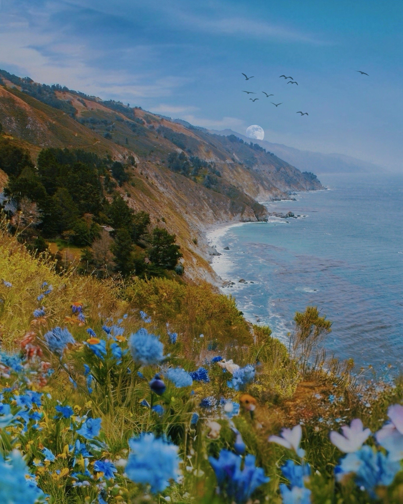 Blue is the Warmest Color.JPG