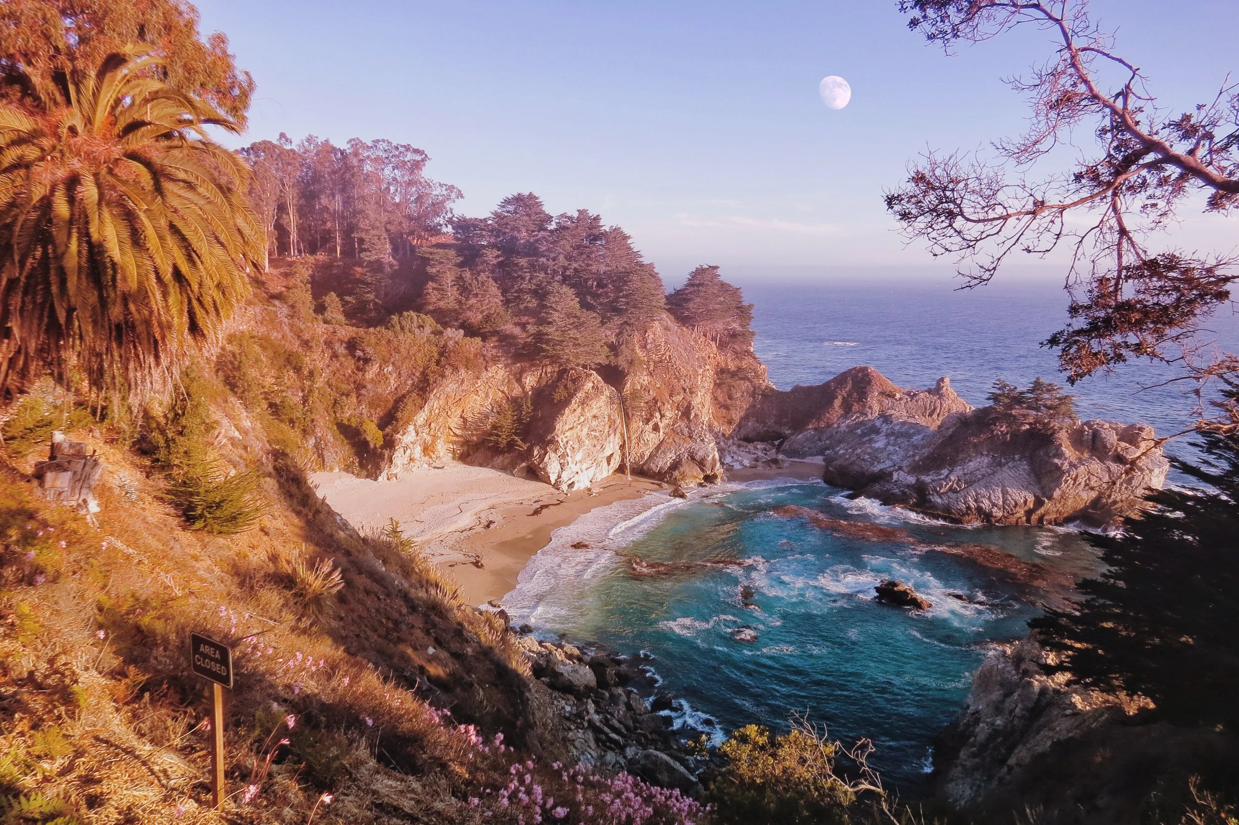 The Lagoon — a map of dreams