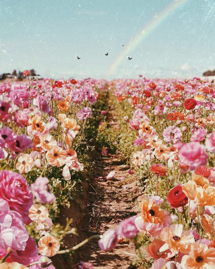 Golden Path.jpg