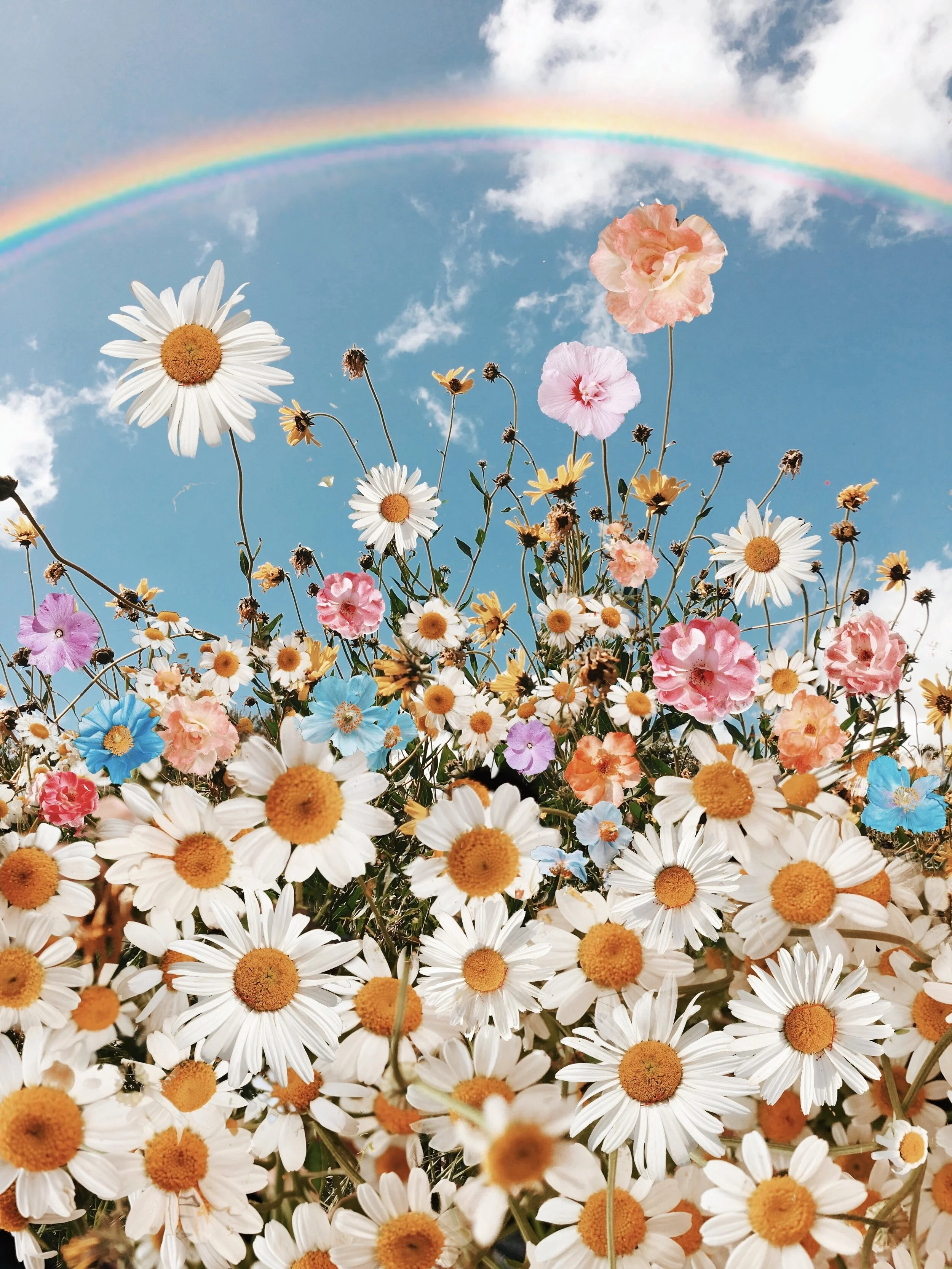 Daisy World Pt. 1.jpg