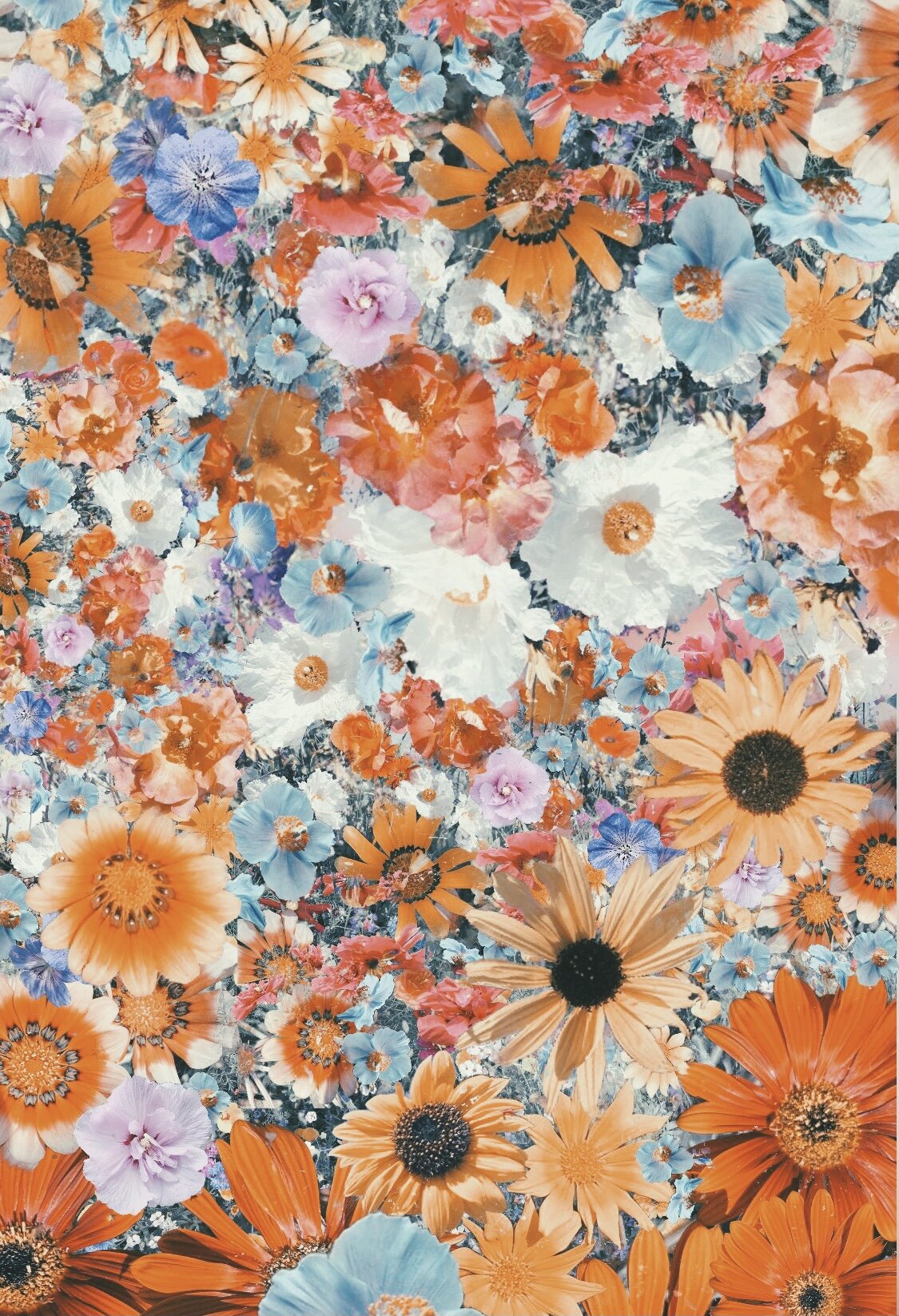 Muted Florals Pt. 1.jpg