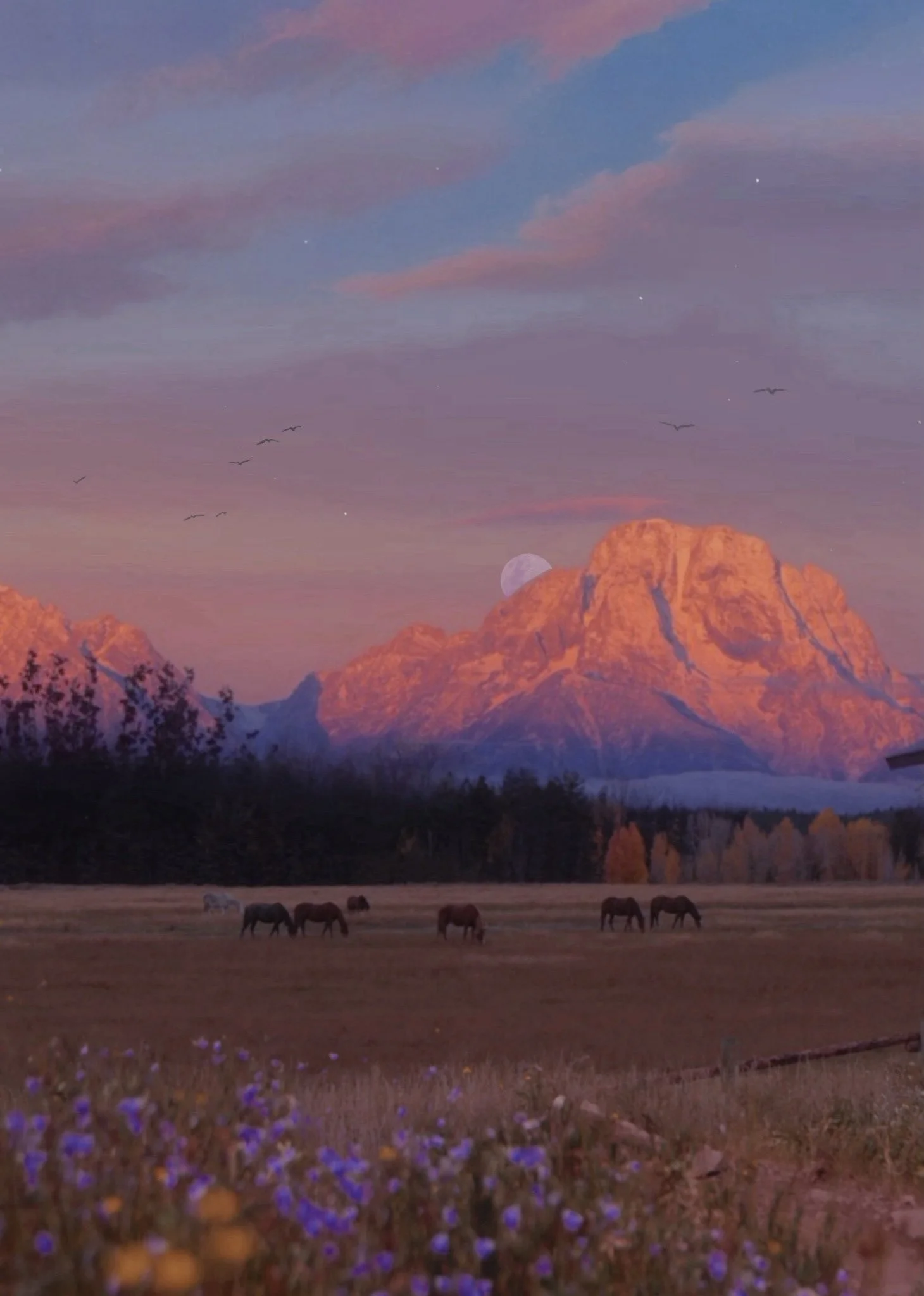 Dusk in the Tetons.jpg