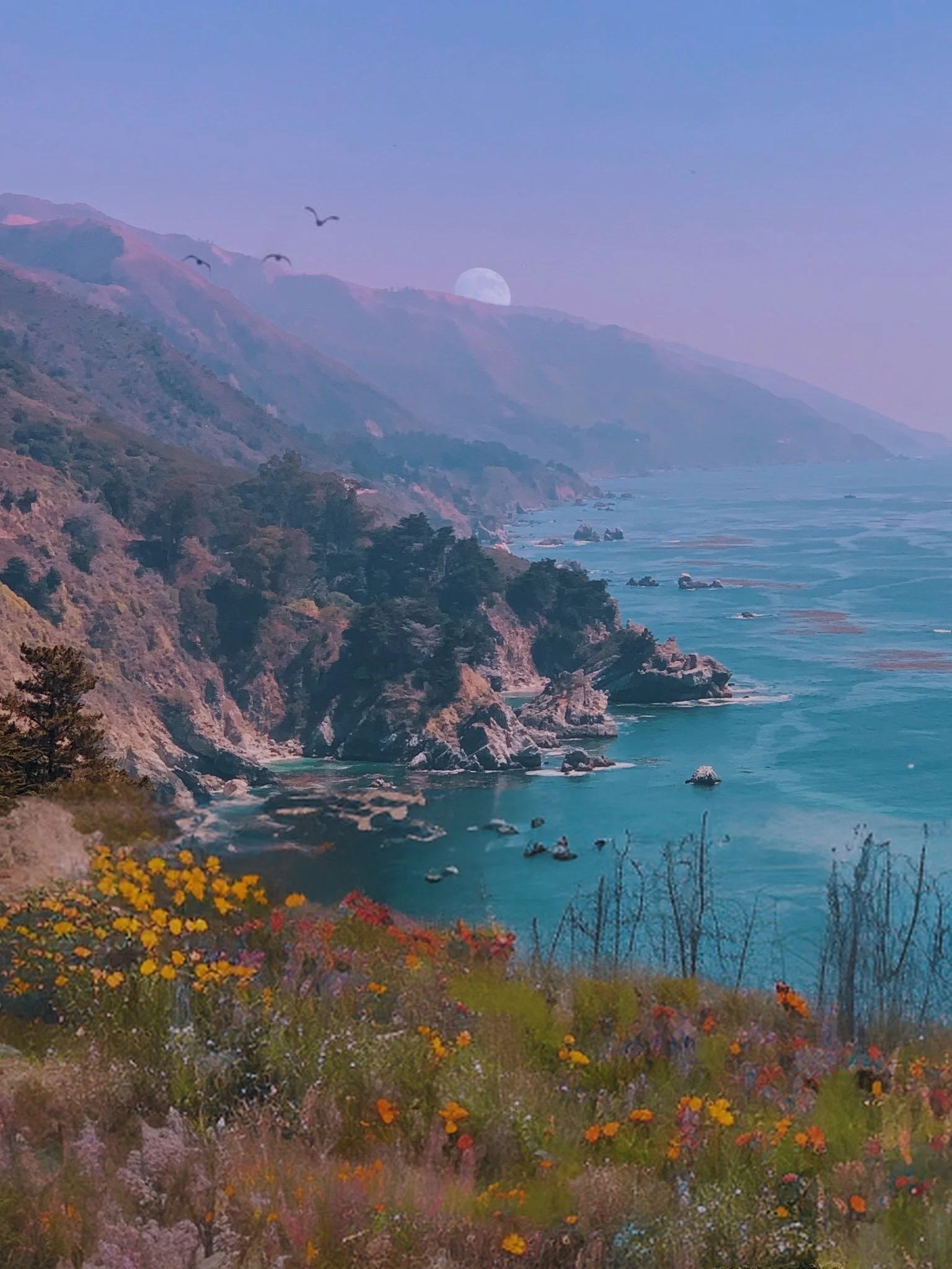 The Place that Calls Me.JPG