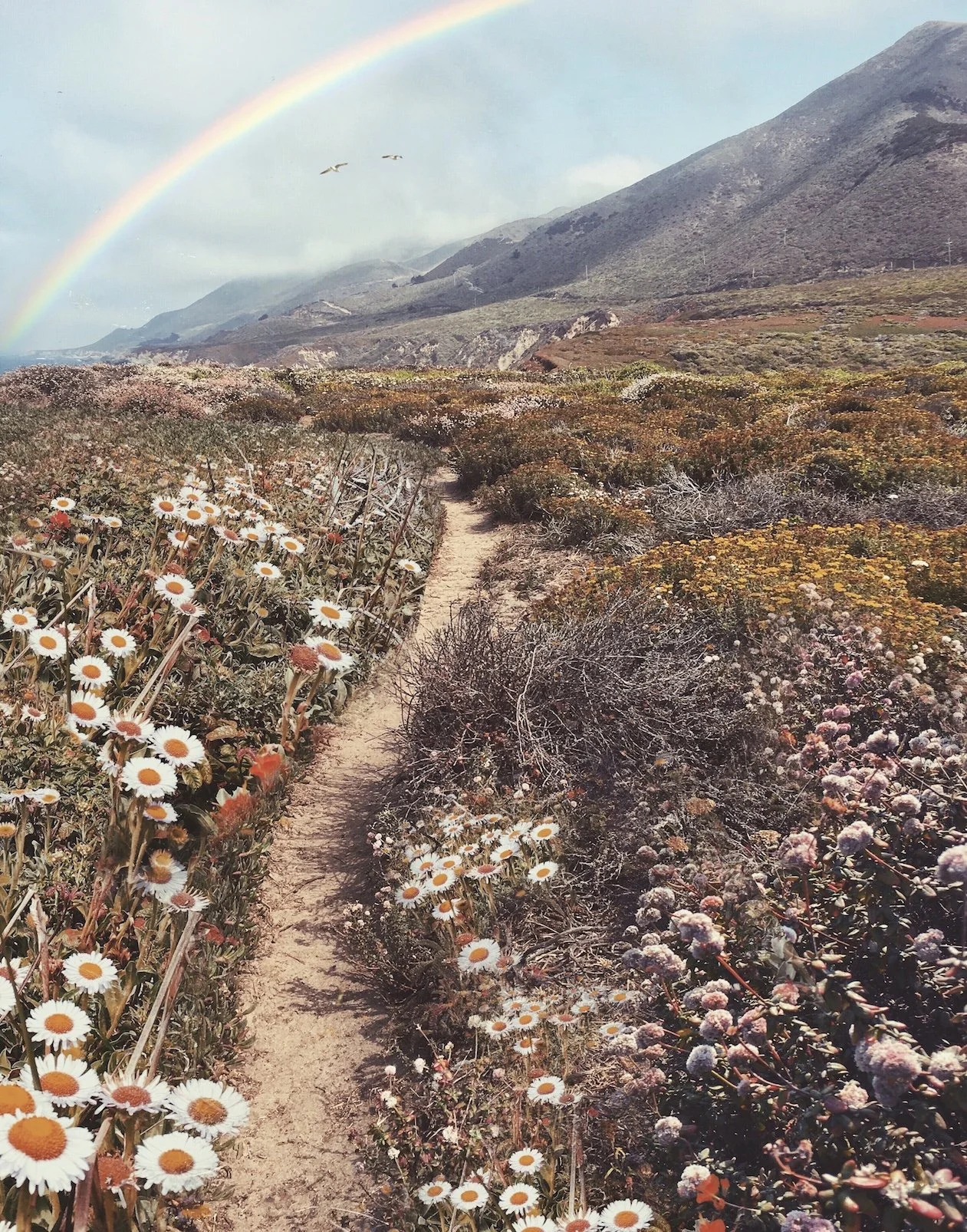 Forever Golden- website.jpeg