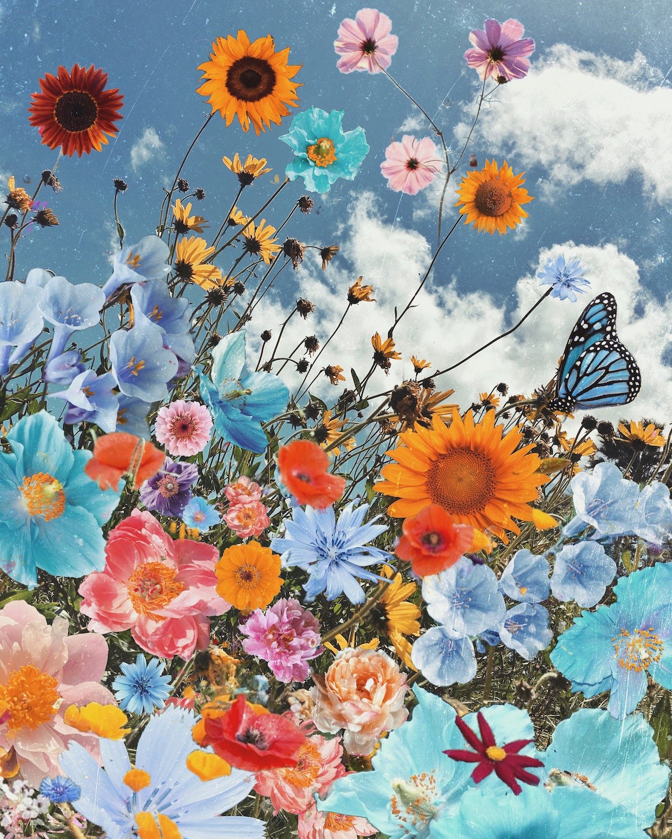 Blue Paradise- website.jpeg