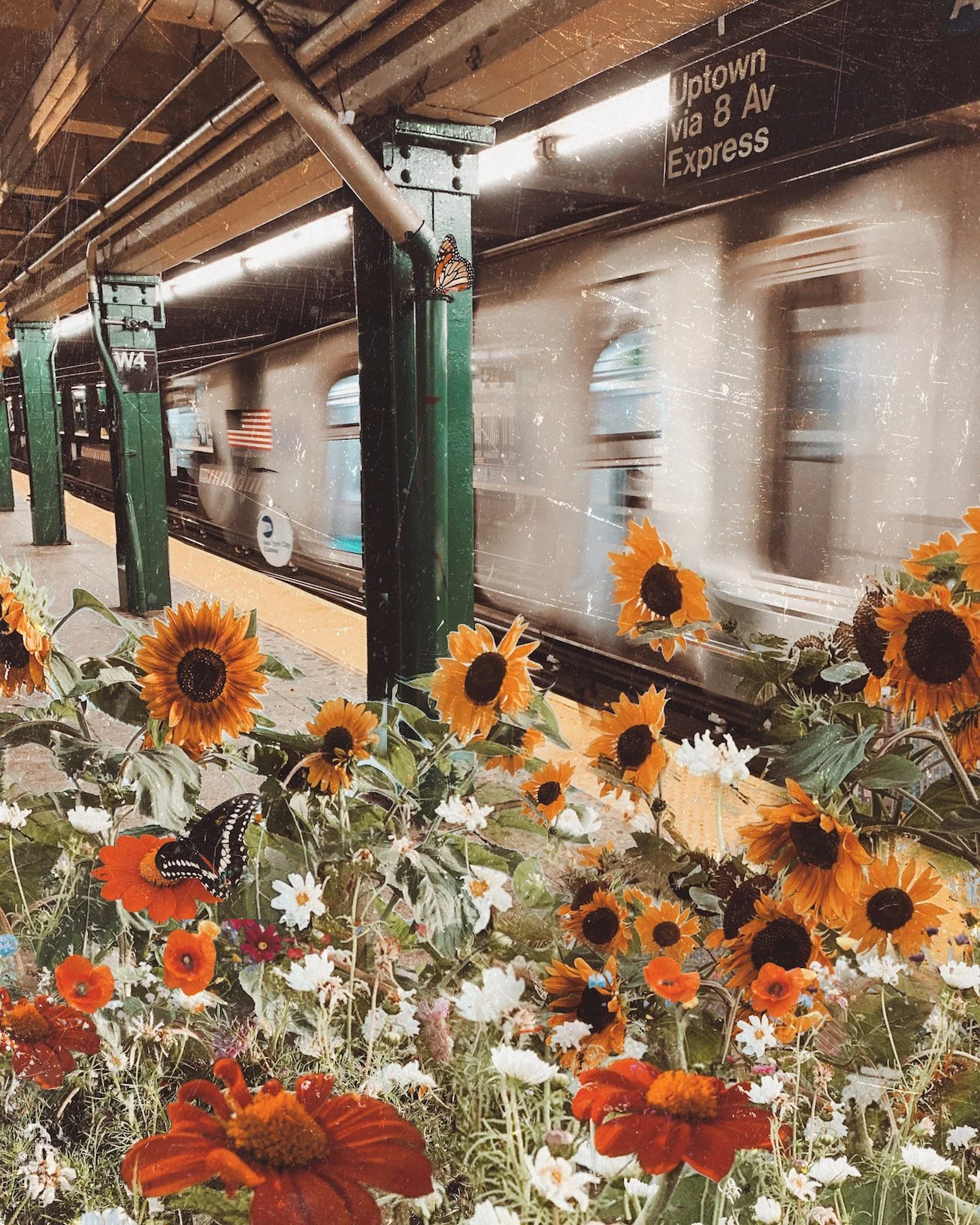 West4th- website.jpeg