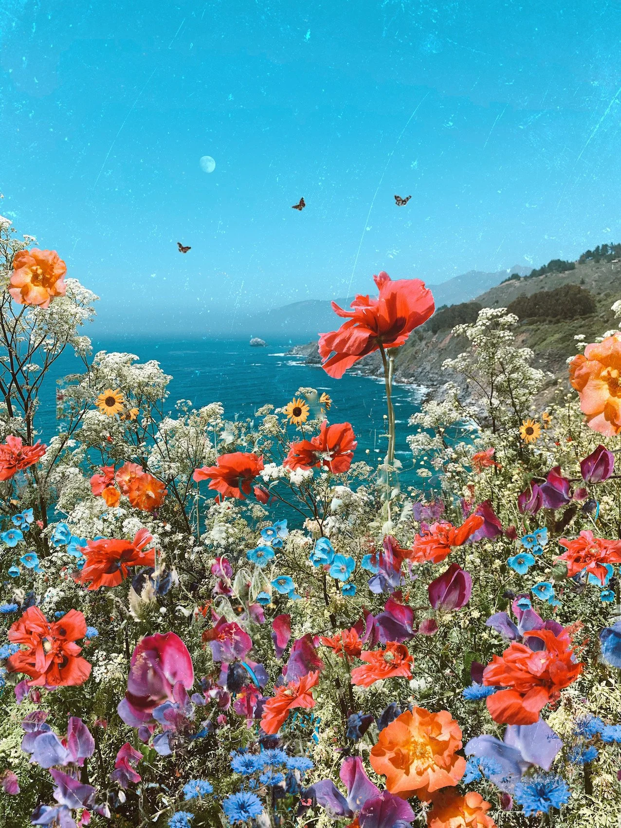 Big Sur Days- website.jpeg