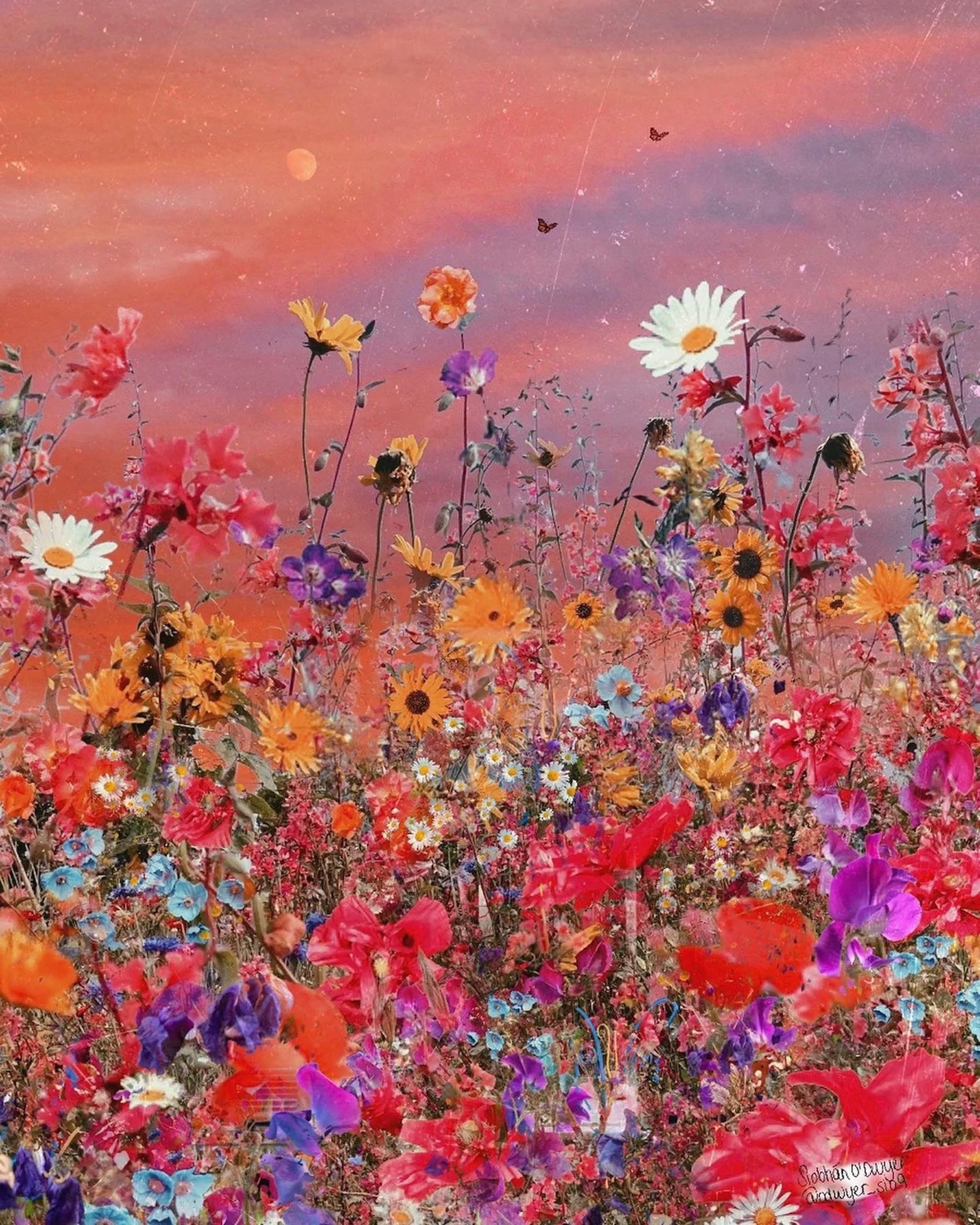 PaintedSkies- website.jpeg