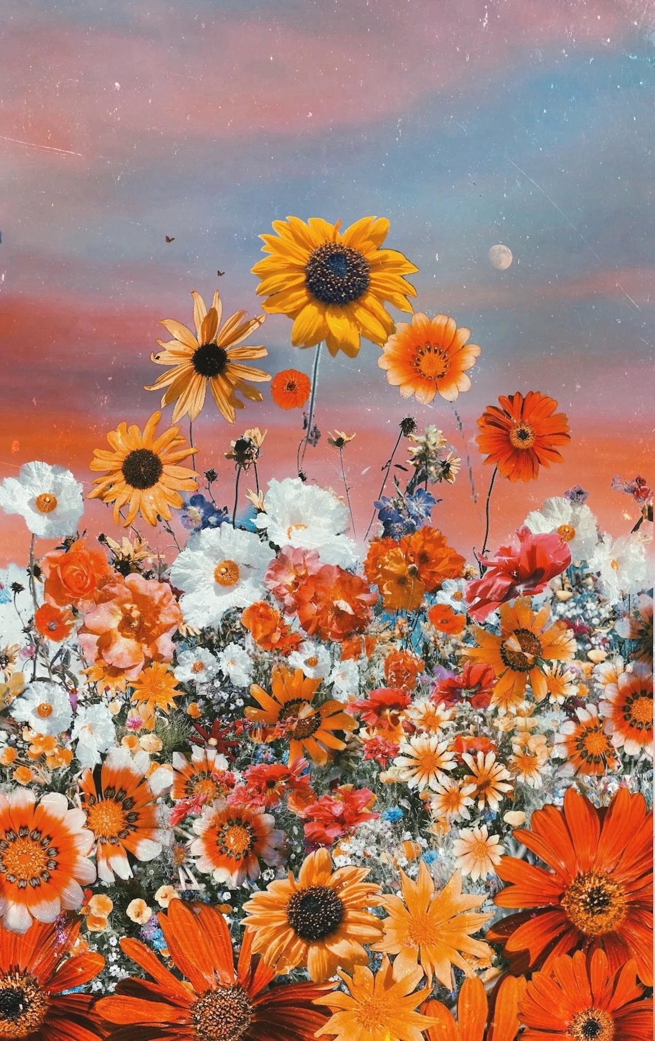 Summer Solstice, Pt. 1 - website.jpeg