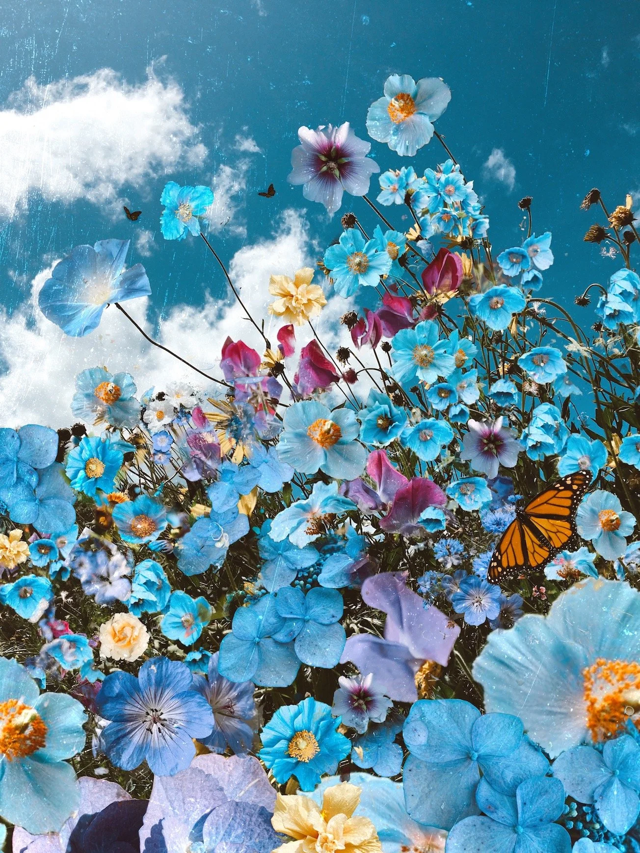 Hues of Blue- website.jpeg