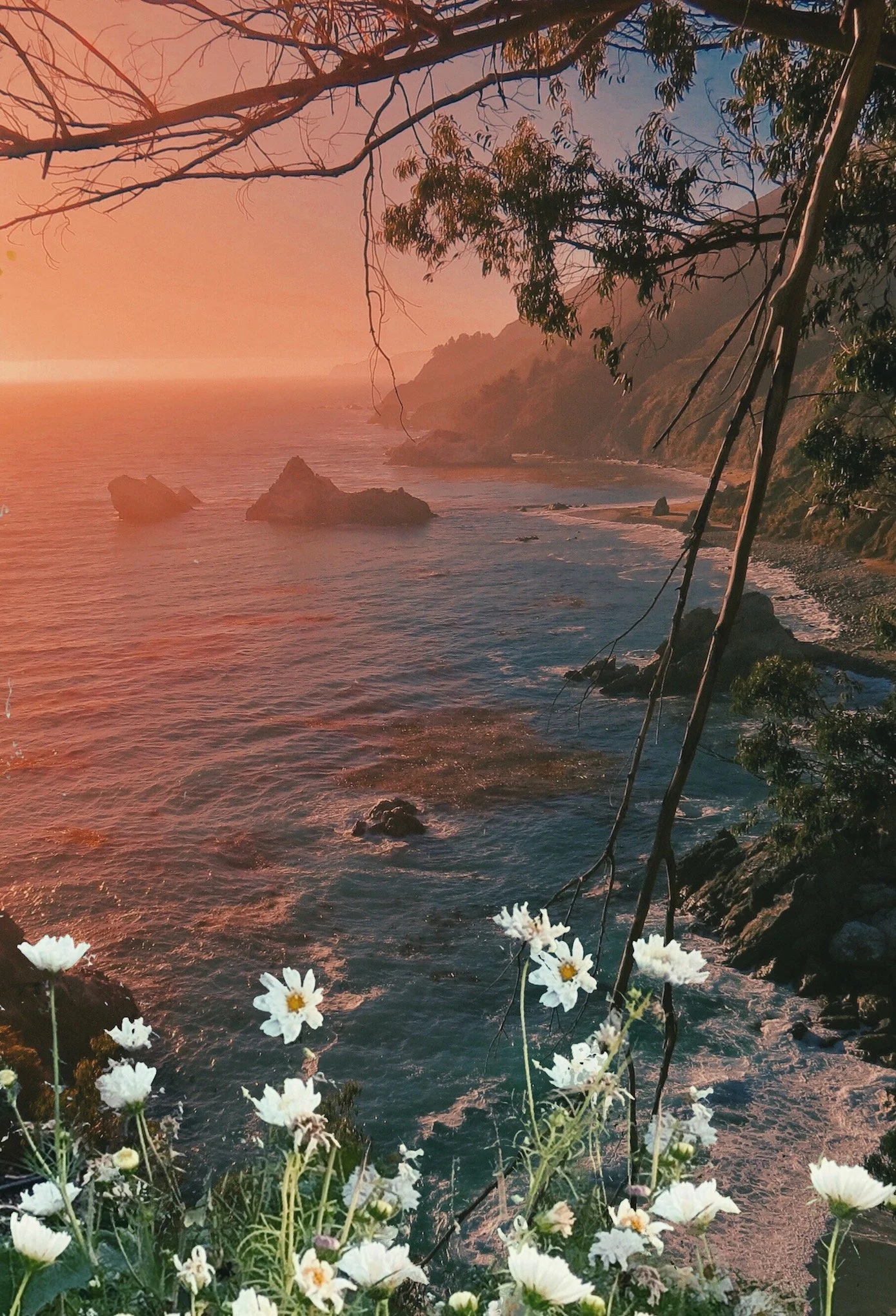 Big Sur Dreamland- website.jpeg