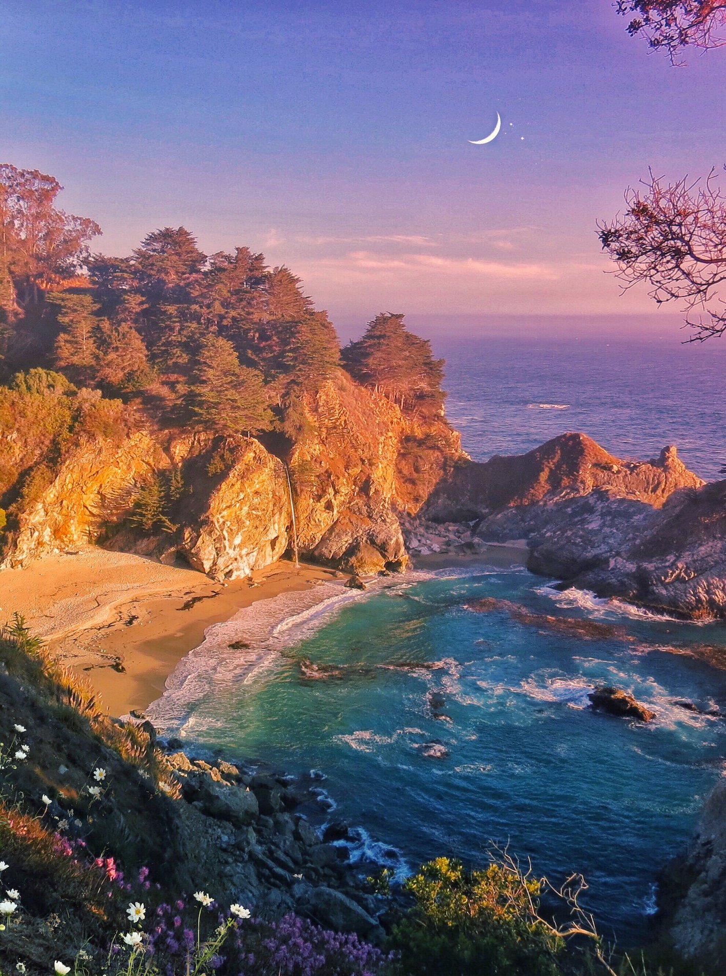 Moonlight- website.jpeg