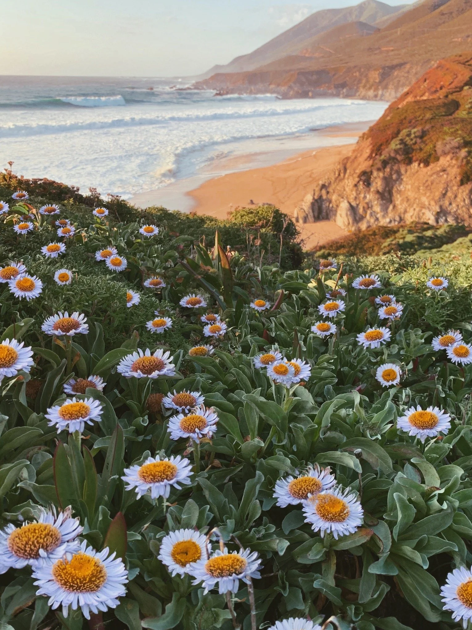 Garrapata Beach, Pt.1- website.jpeg