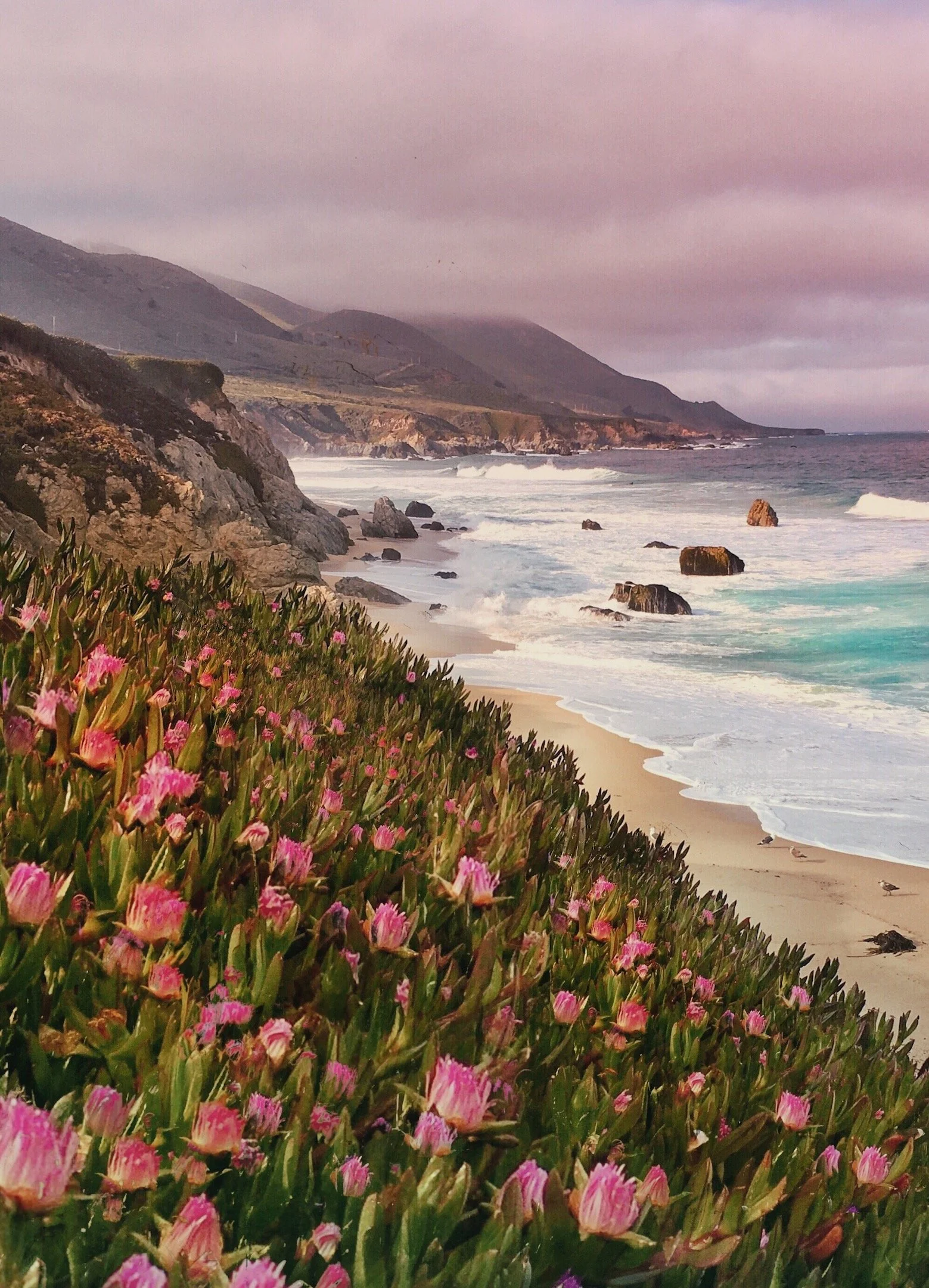 Garrapata Beach, Pt. 2- website.jpeg