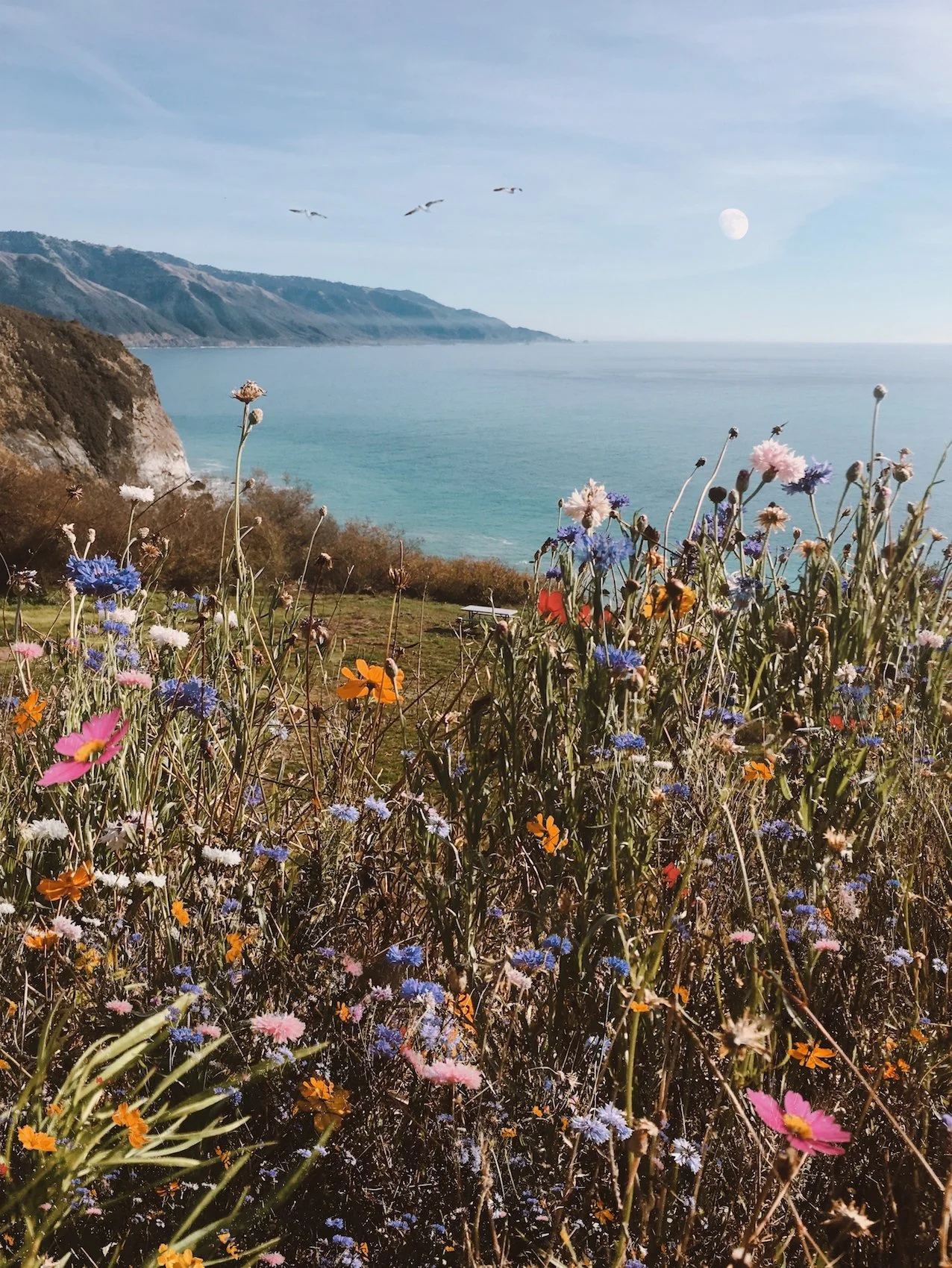 Lucia Lodge- website.jpeg