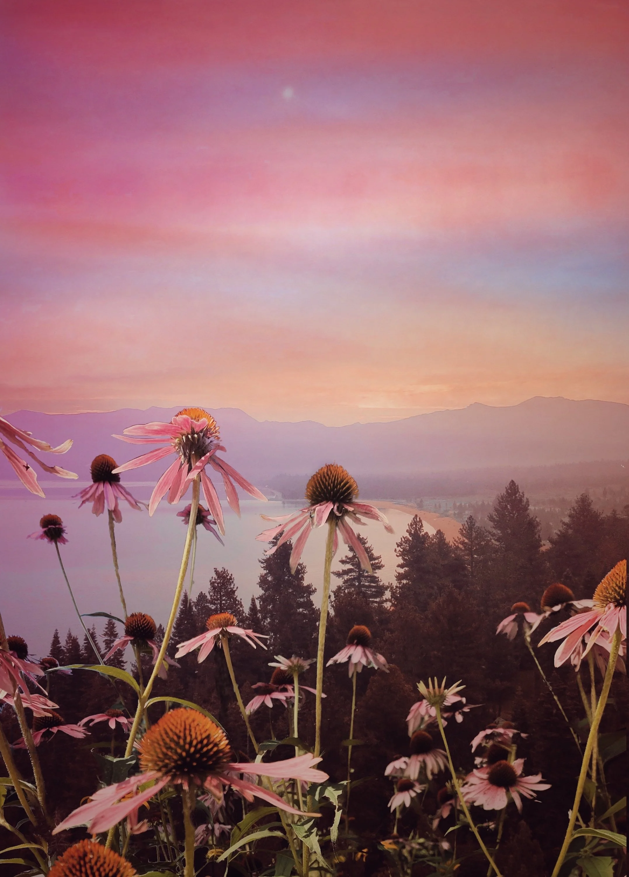 Lake Tahoe- website.jpeg