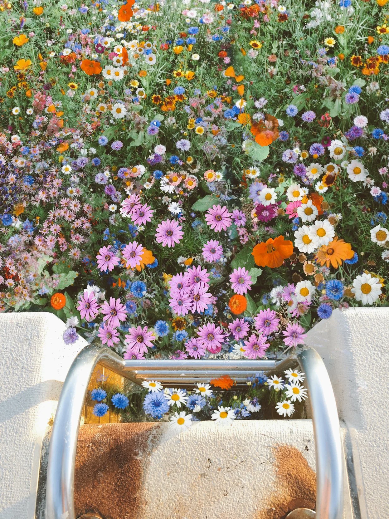 Jump In- website.jpeg