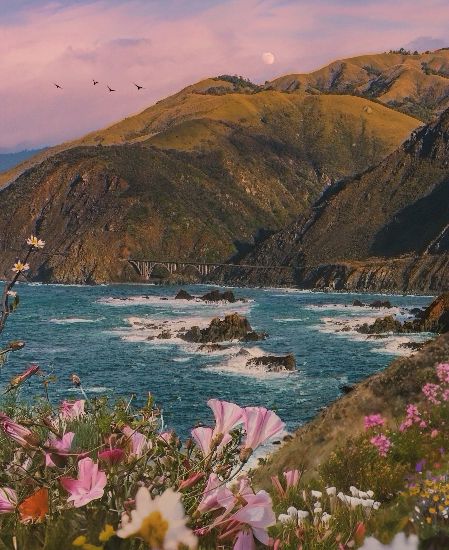 Morning Glory- website.jpeg