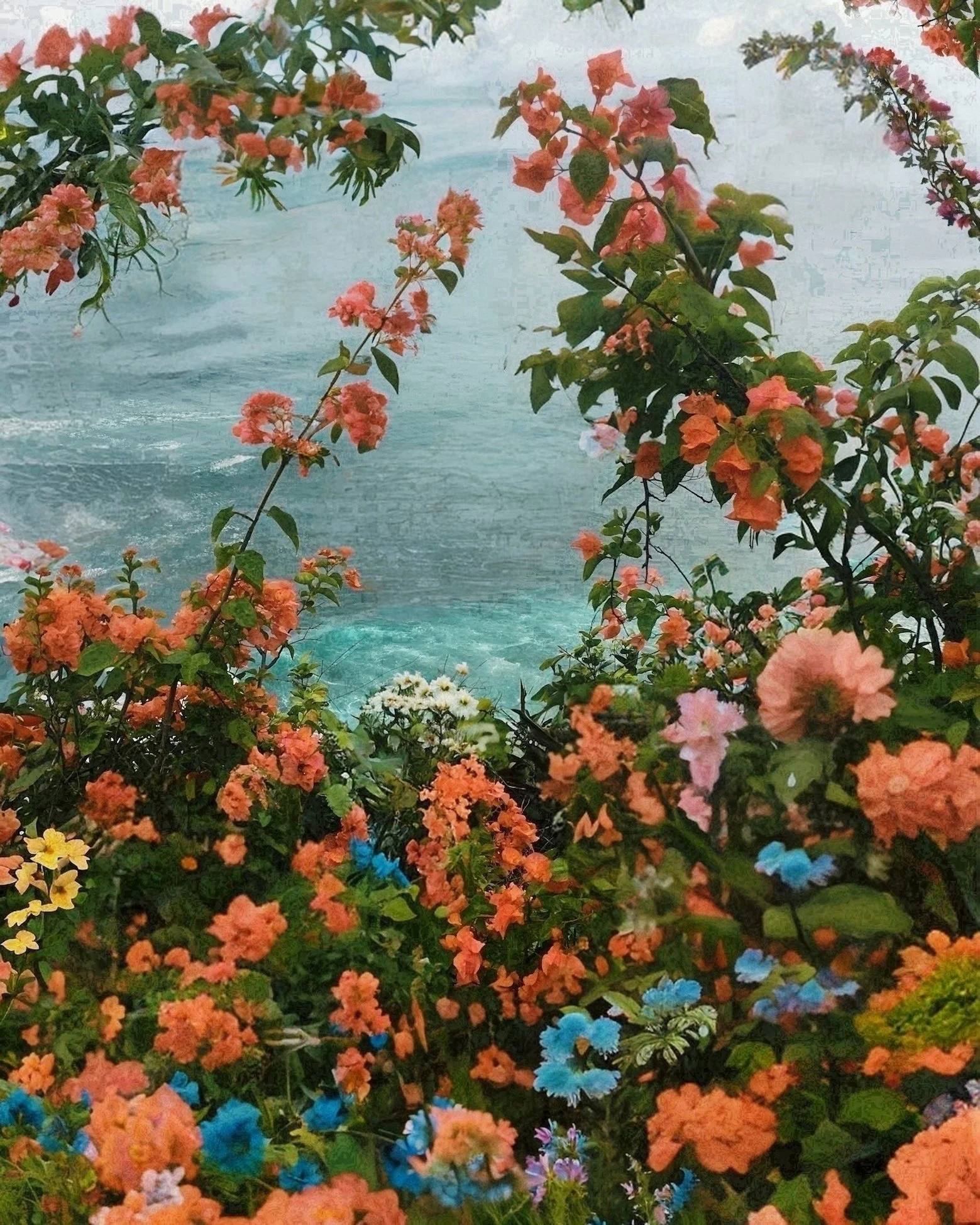 Overgrown new- website.jpeg