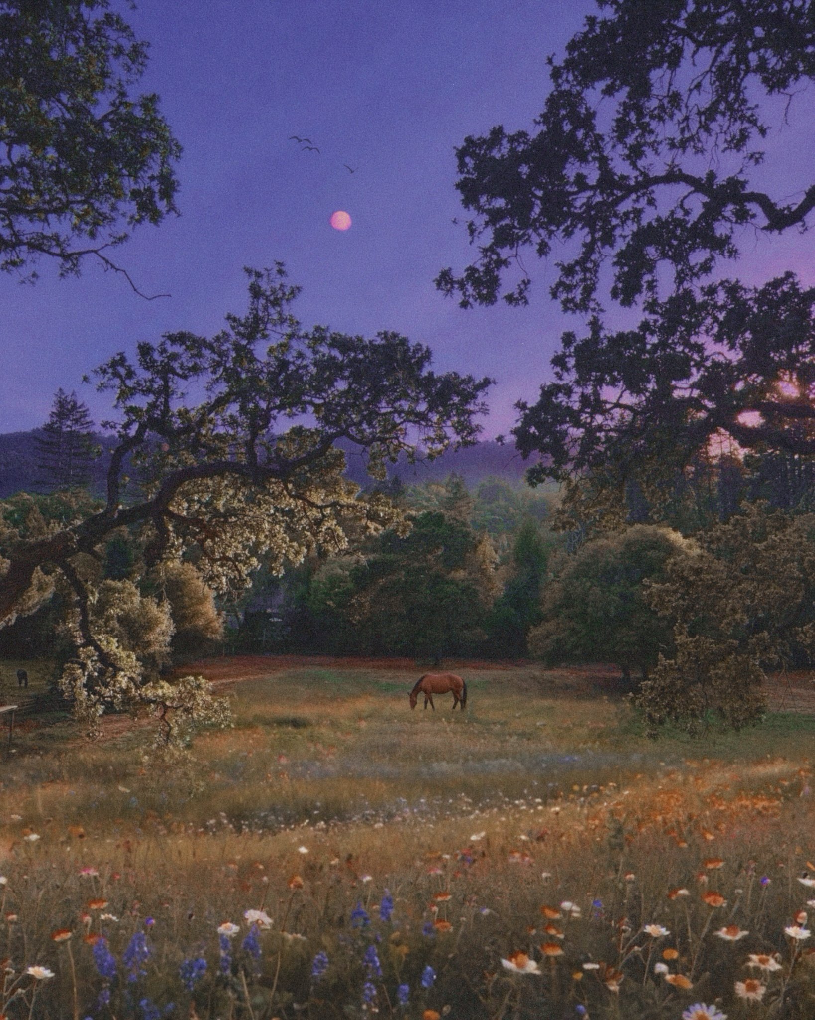 Between Dusk and Dreams.JPG