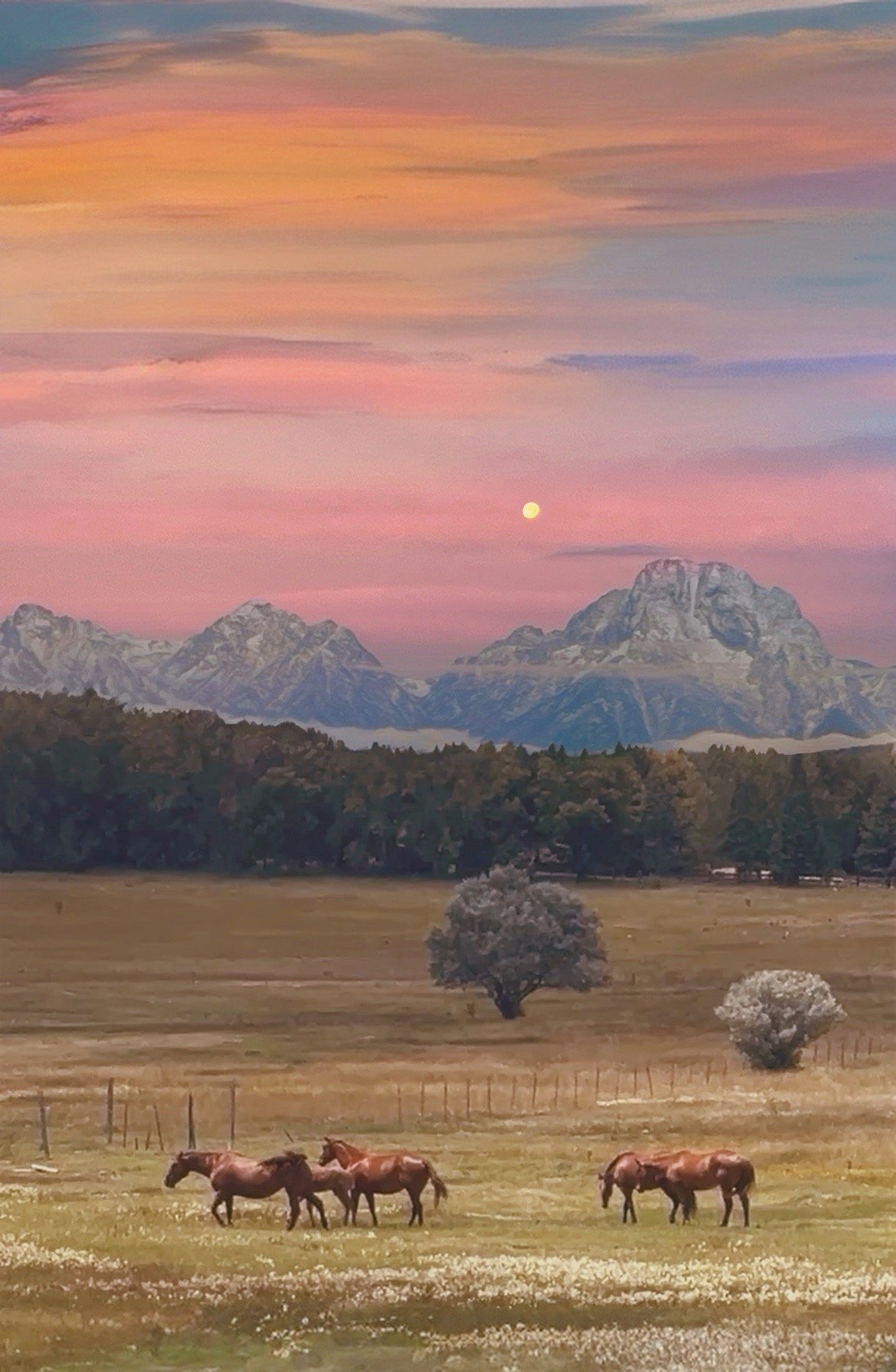 Western Moonrise.JPG