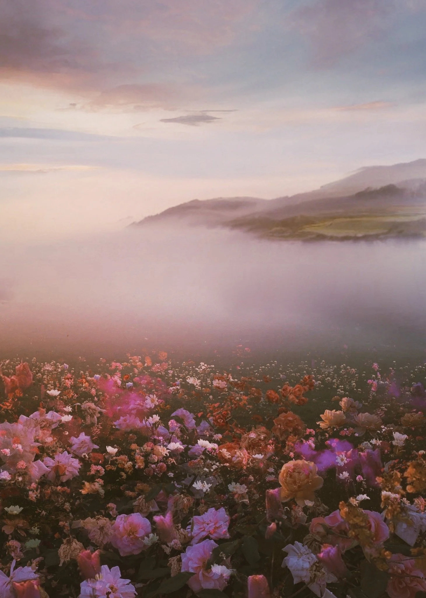 When the Fog Rolls In.JPG