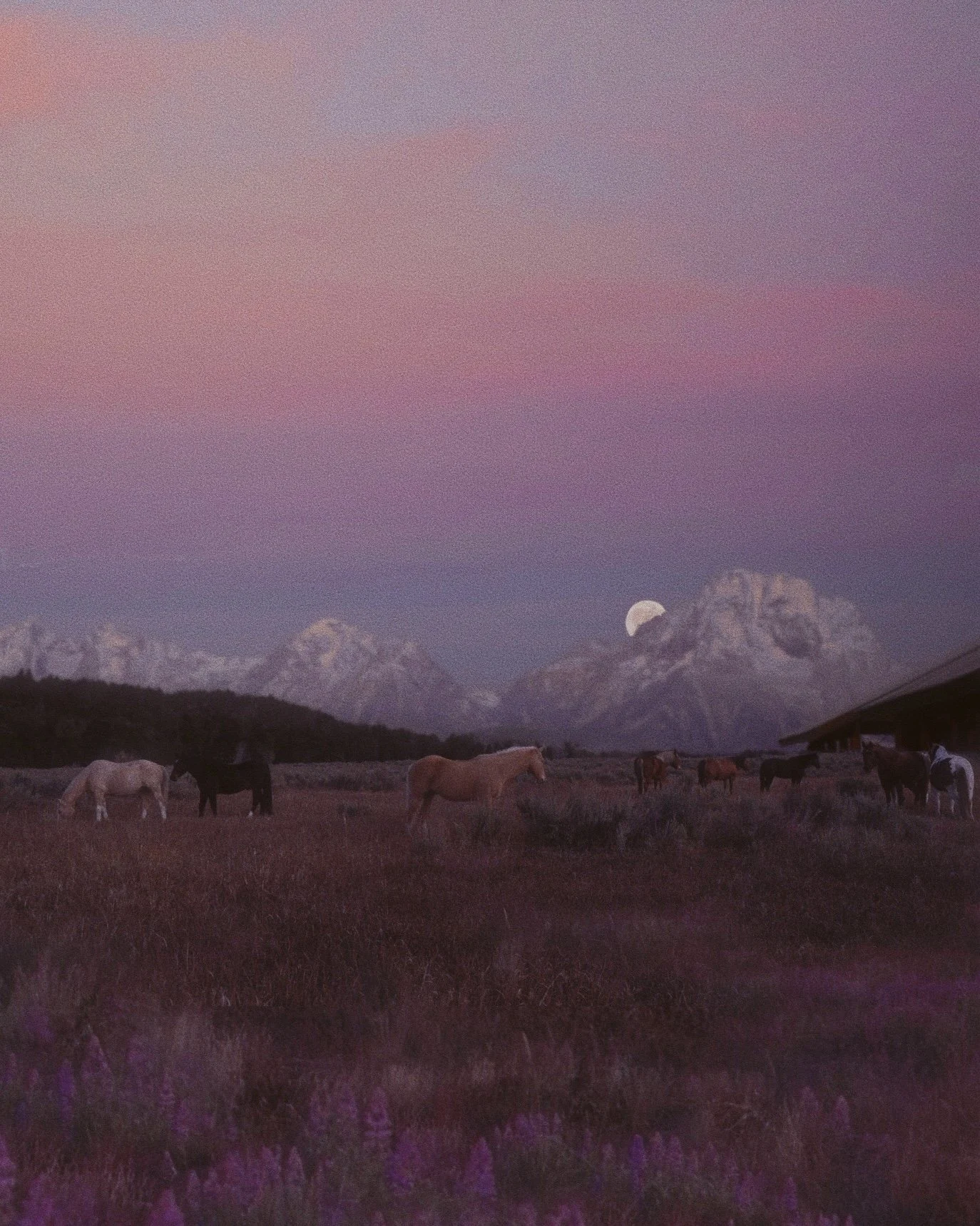 Under the Same Moon.jpg