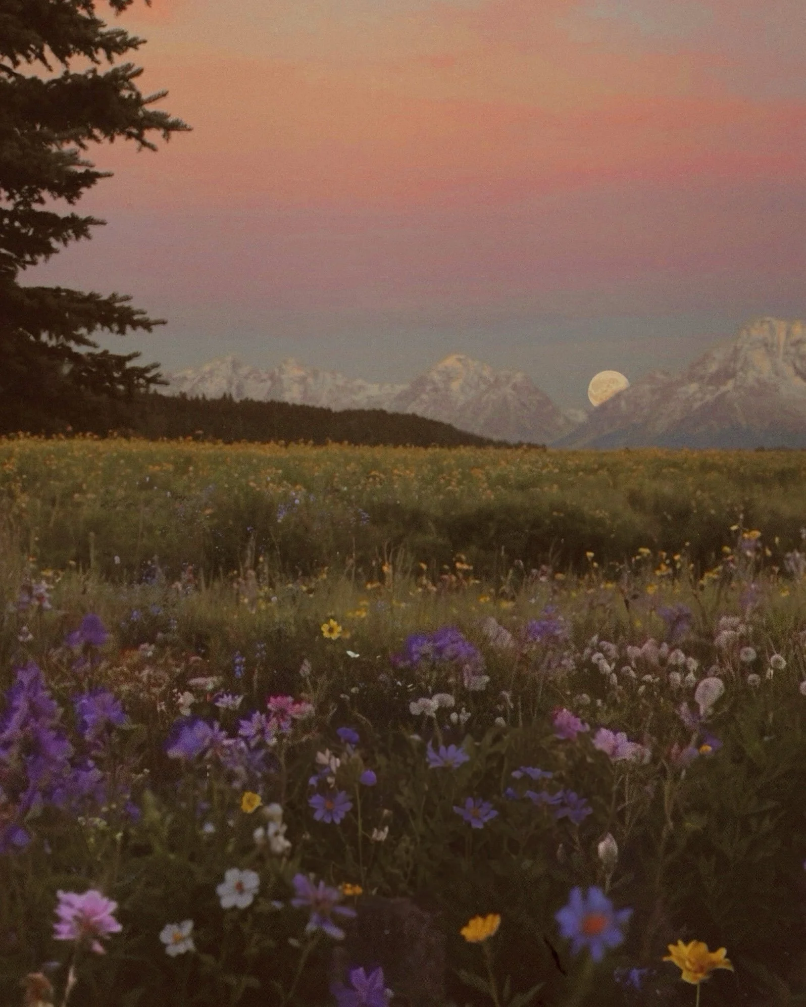 October Stillness.jpg