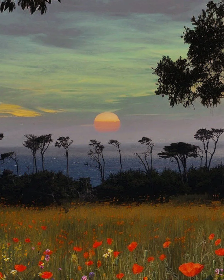 Layers in a Dream (2024)