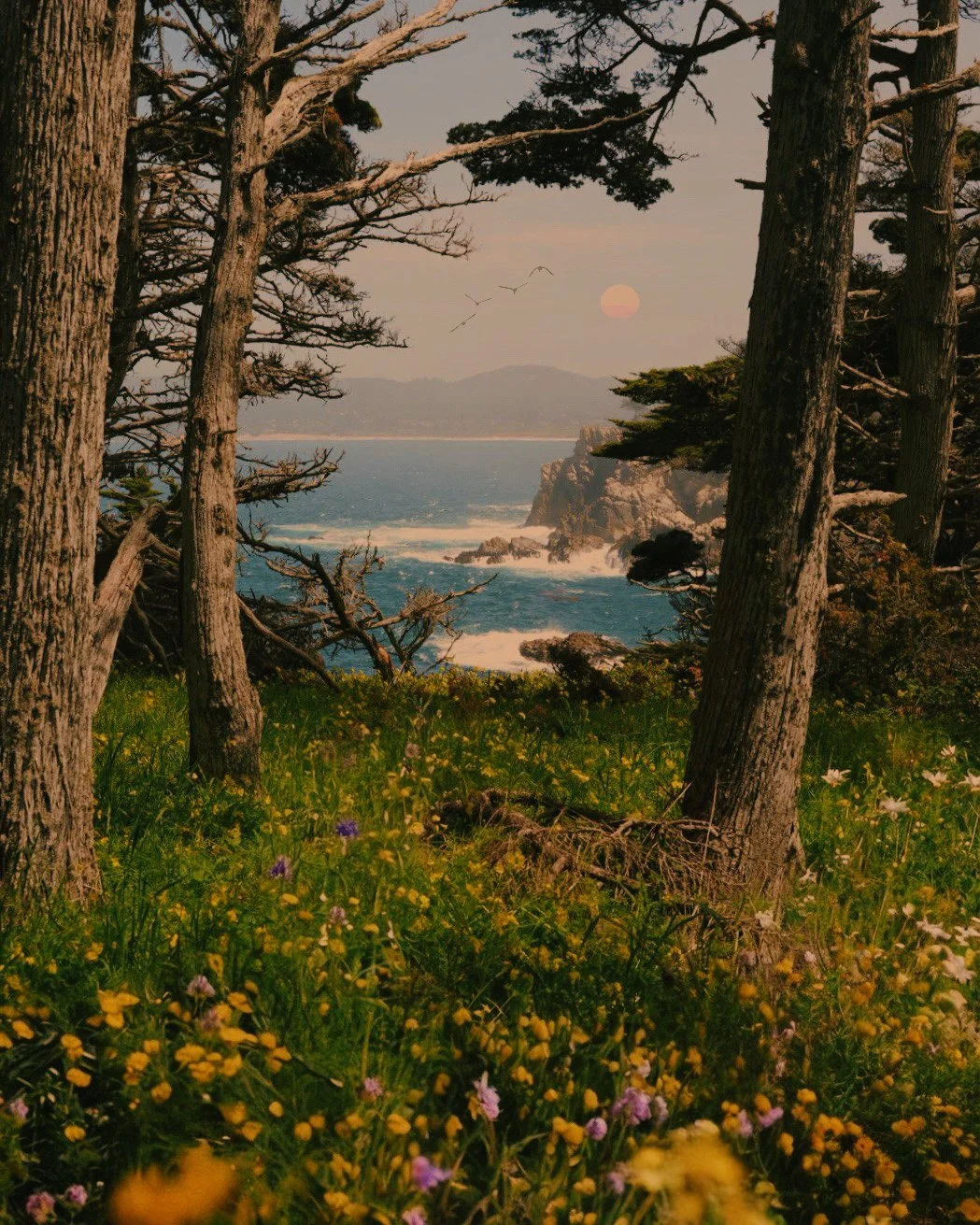 Where I Go To Dream.JPG