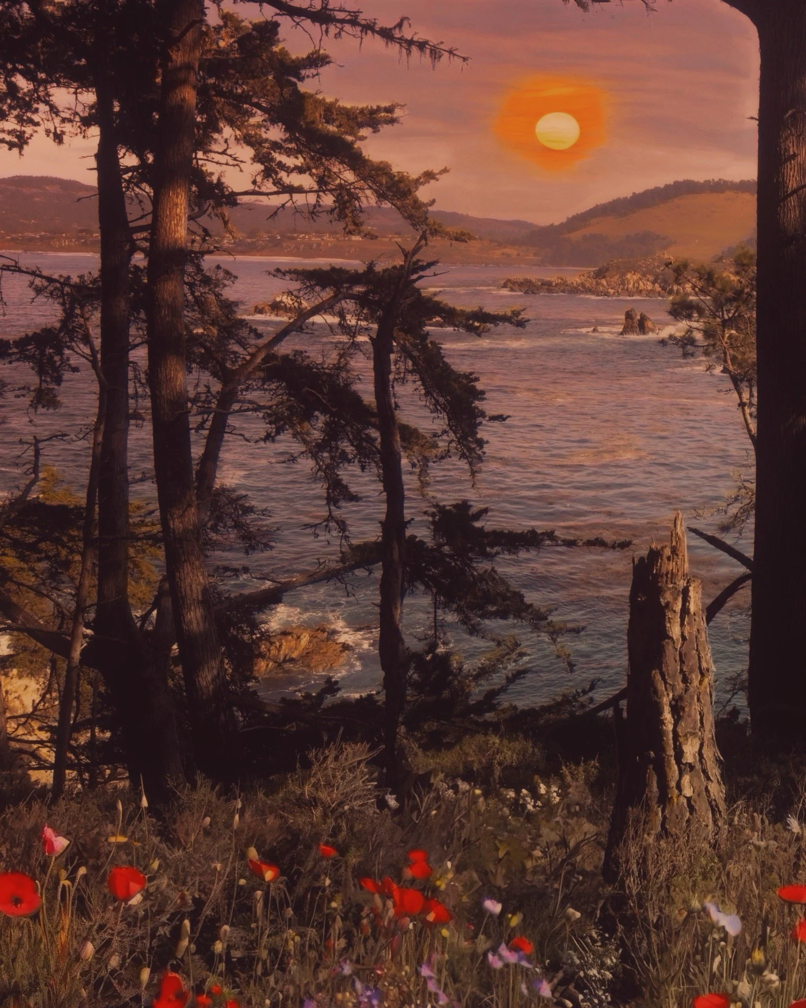 Half Seeing, Half Dreaming.JPG