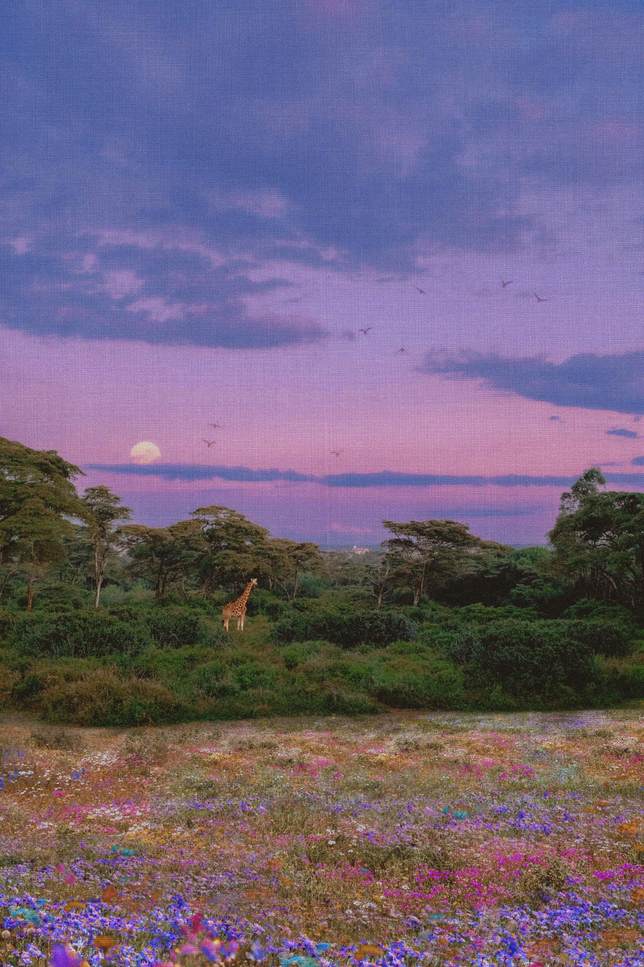 Collab with Textures (Edited) condensed.jpeg