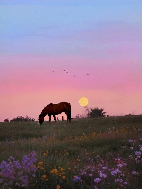 Under the Western Moon copy.JPG