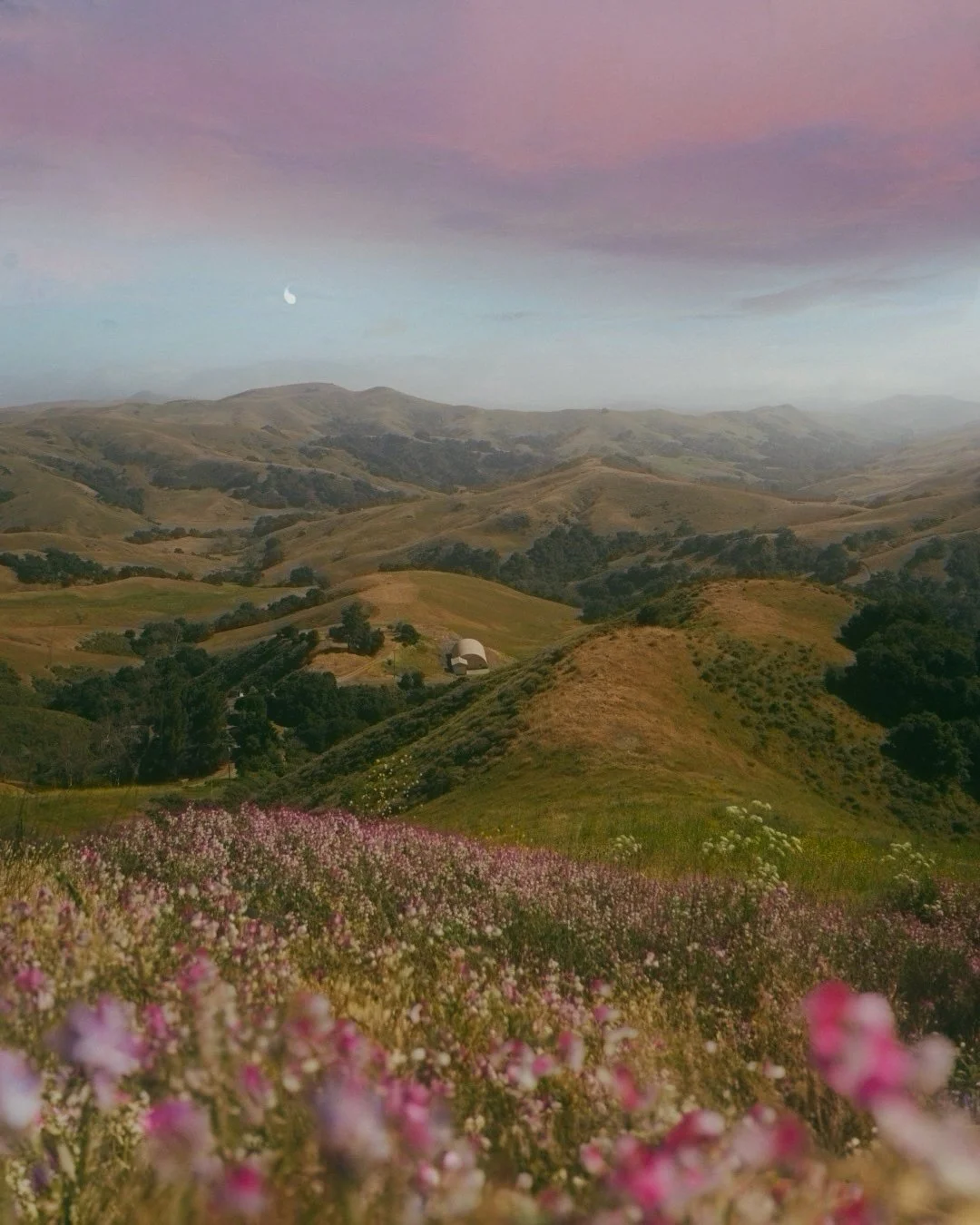 Beauty of Stillness.JPG