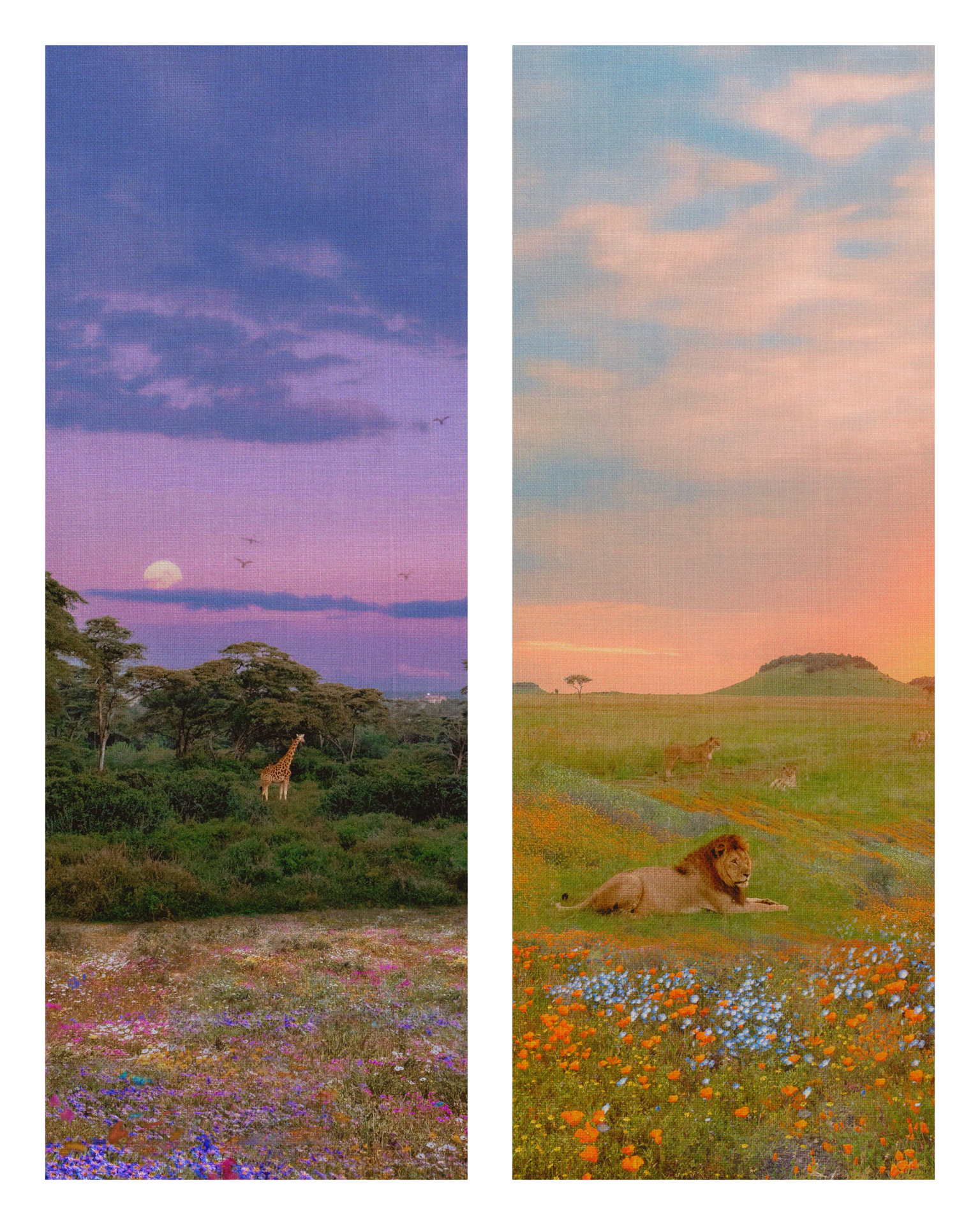 Collab combo picture.PNG