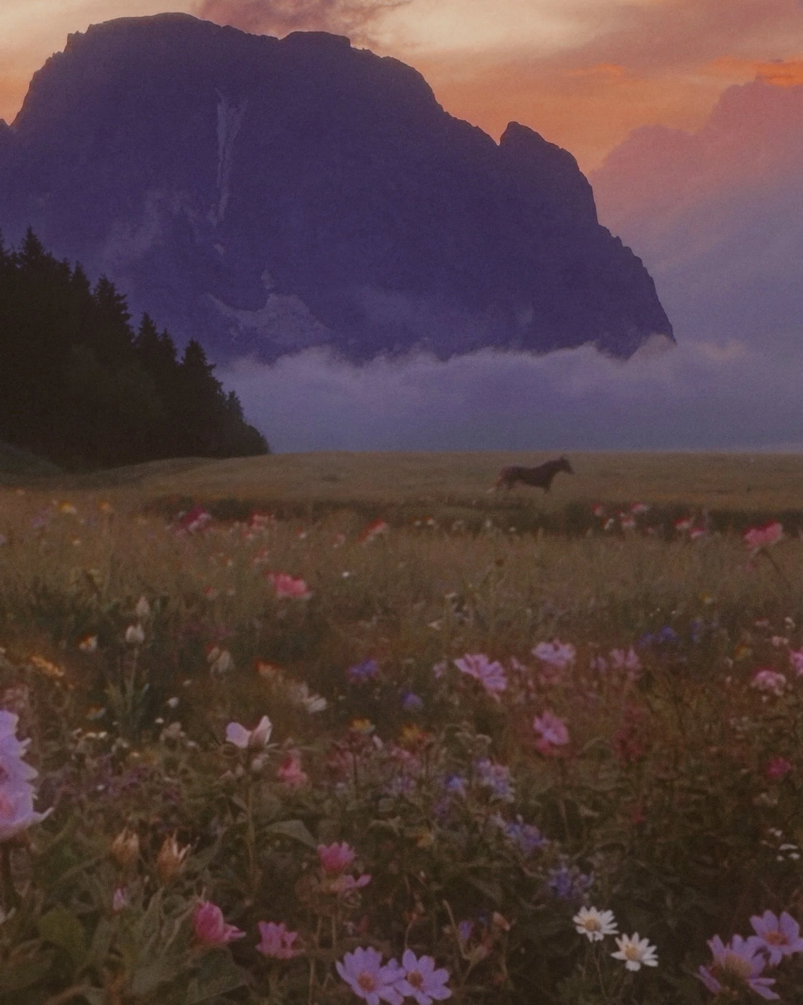 Ranch Skies.jpg