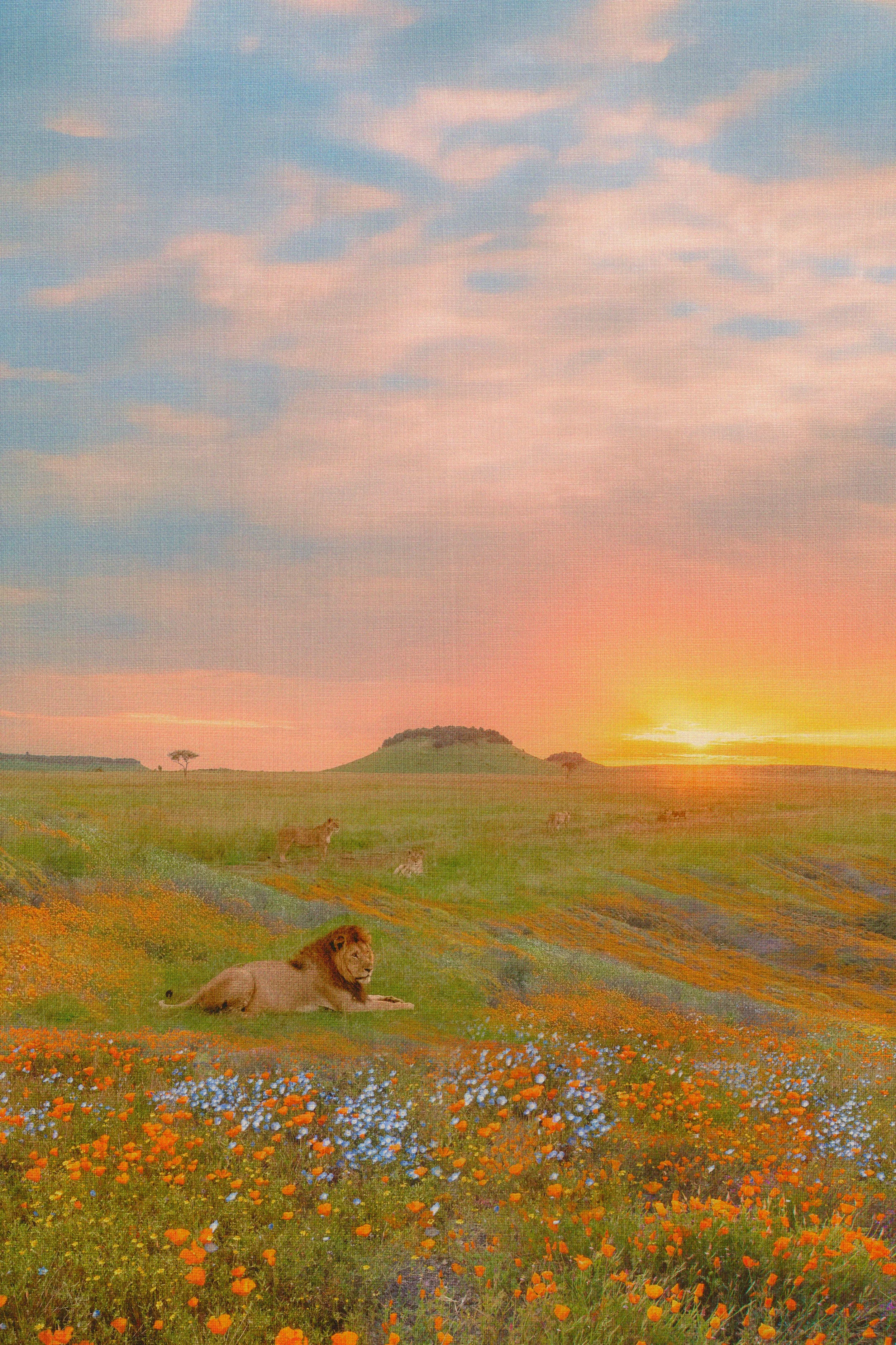 Collab #2 with Textures-2 condensed.jpeg