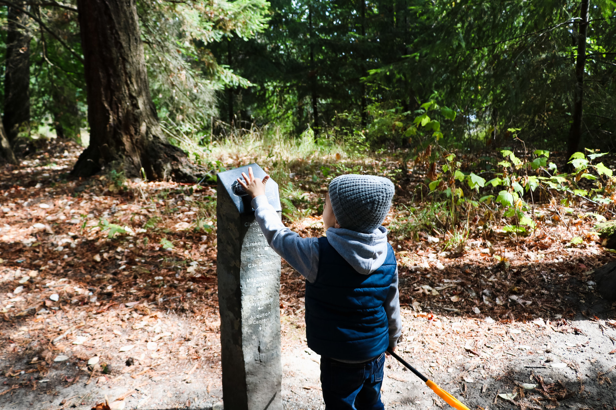 ADVENTURES - A HIKING WE WILL GO — All Kids Are Gifted