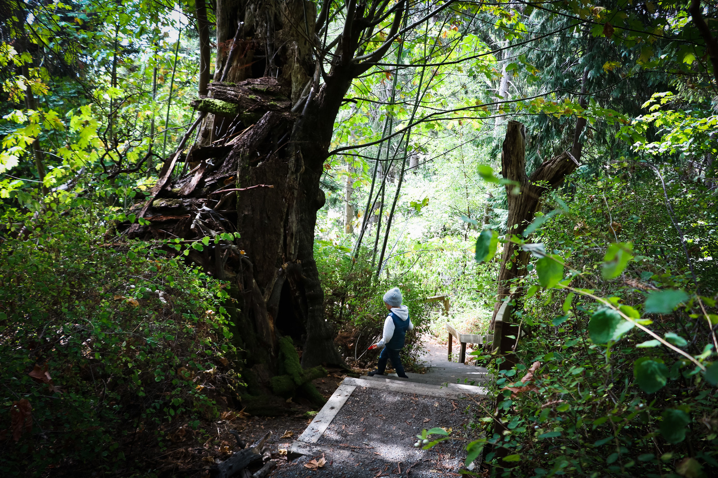 ADVENTURES - A HIKING WE WILL GO — All Kids Are Gifted