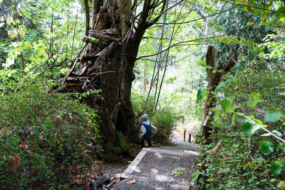 ADVENTURES - A HIKING WE WILL GO — All Kids Are Gifted